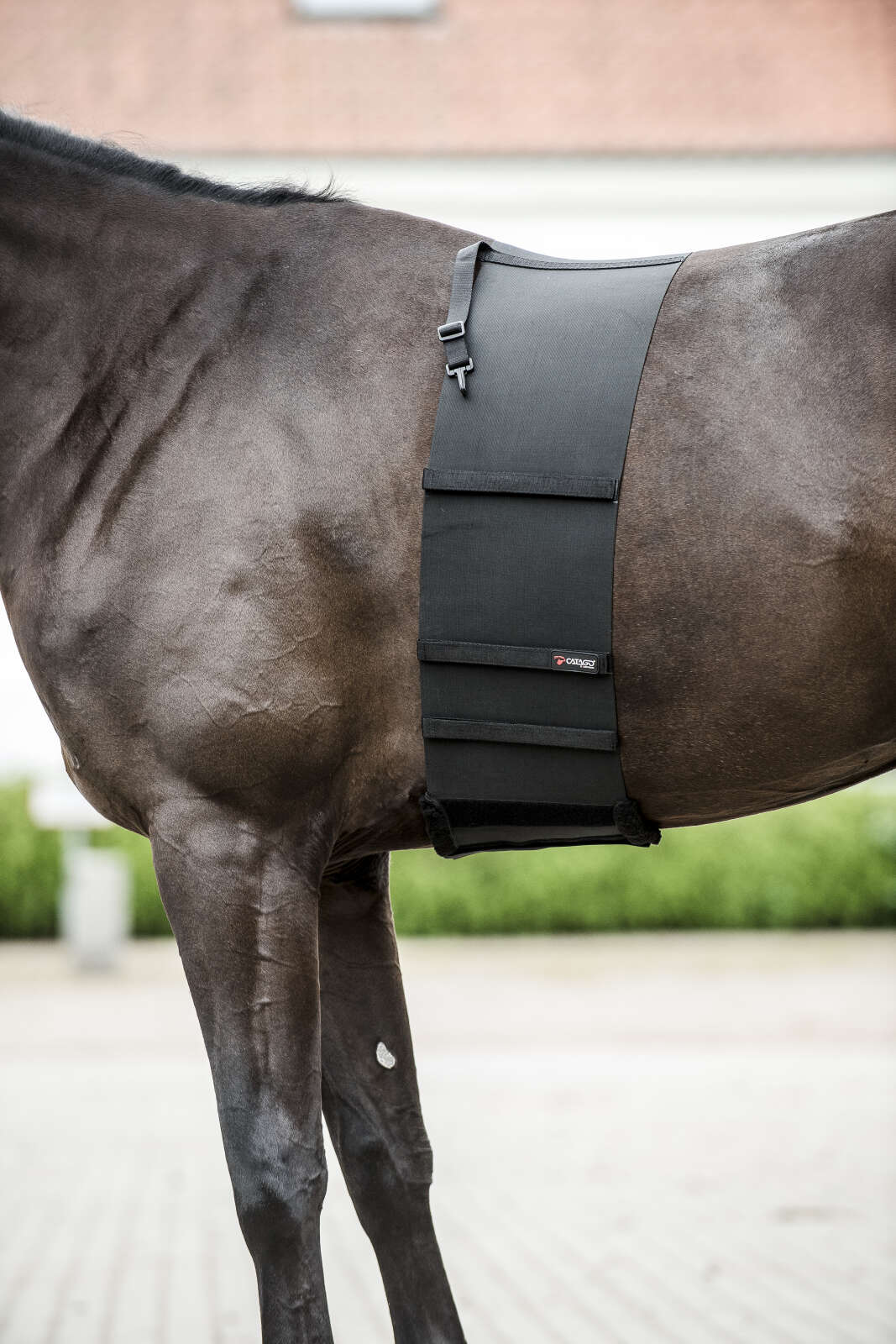 CATAGO Body Shield