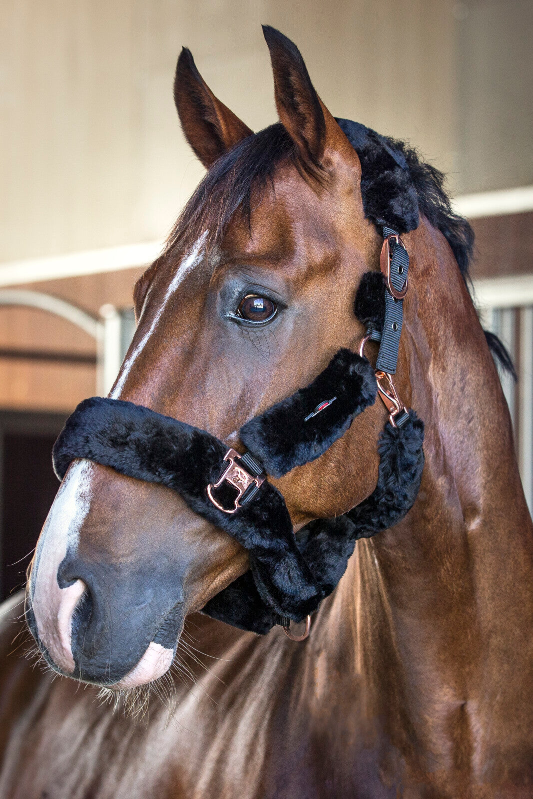 CATAGO im. sheepskin halter