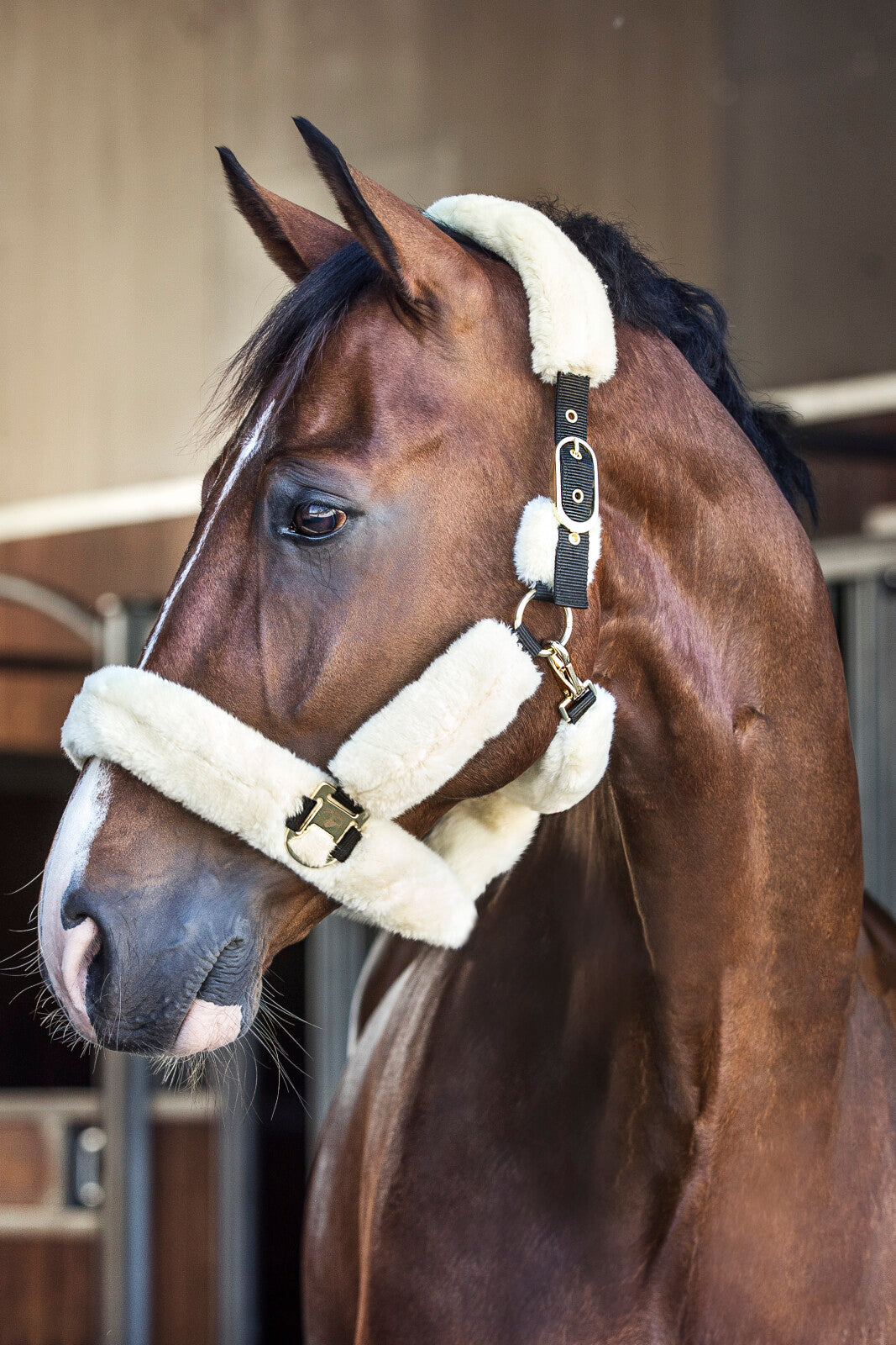 CATAGO im. sheepskin halter