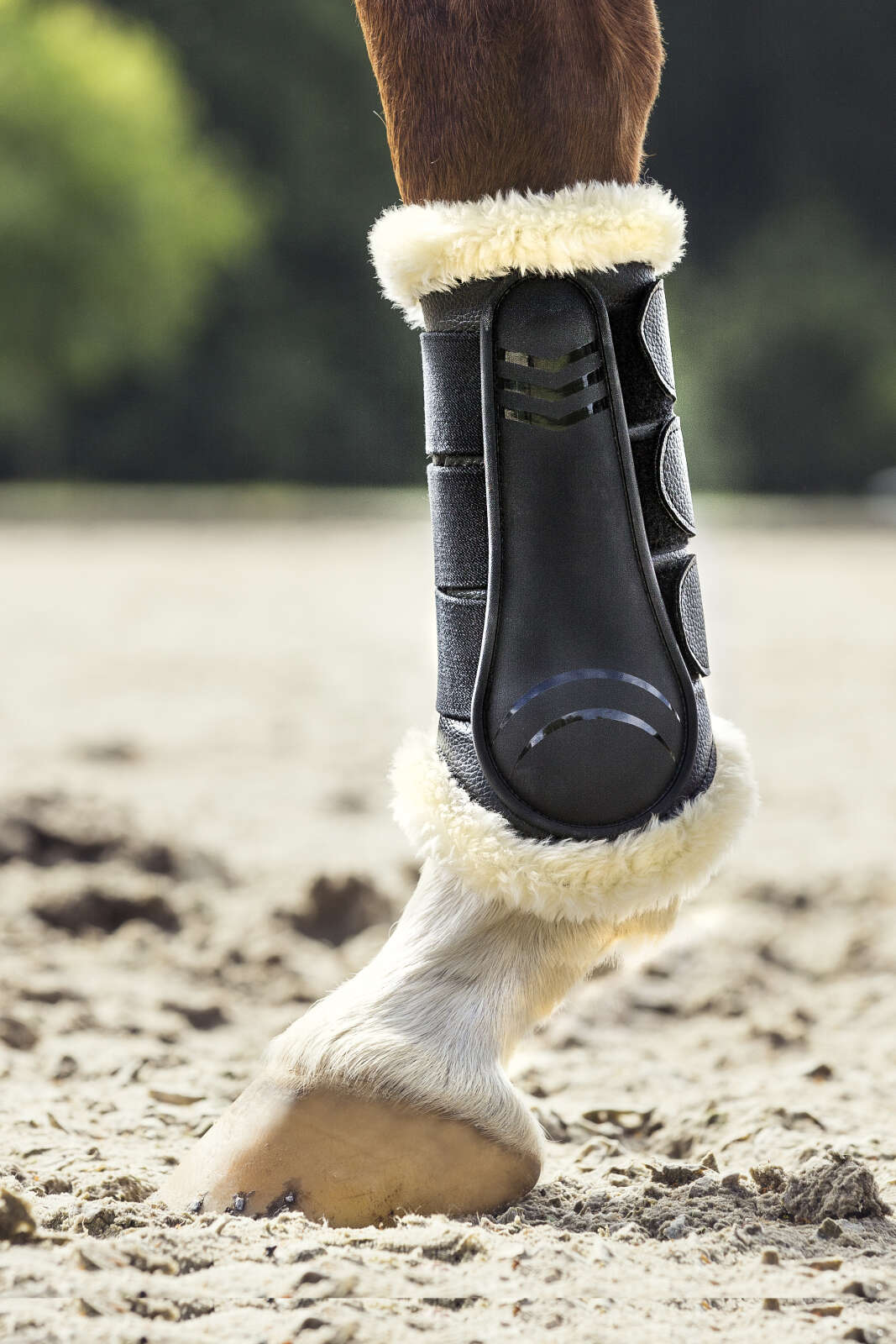 CATAGO Dressage boots w. faux fur