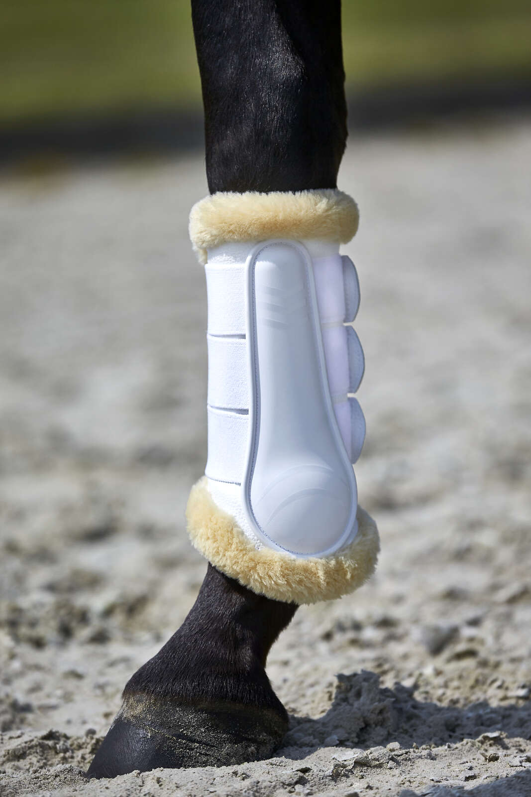 CATAGO Dressurgamasjer med lammeskinn