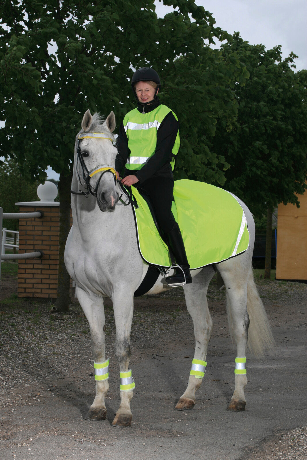 HorseGuard Reflex boots