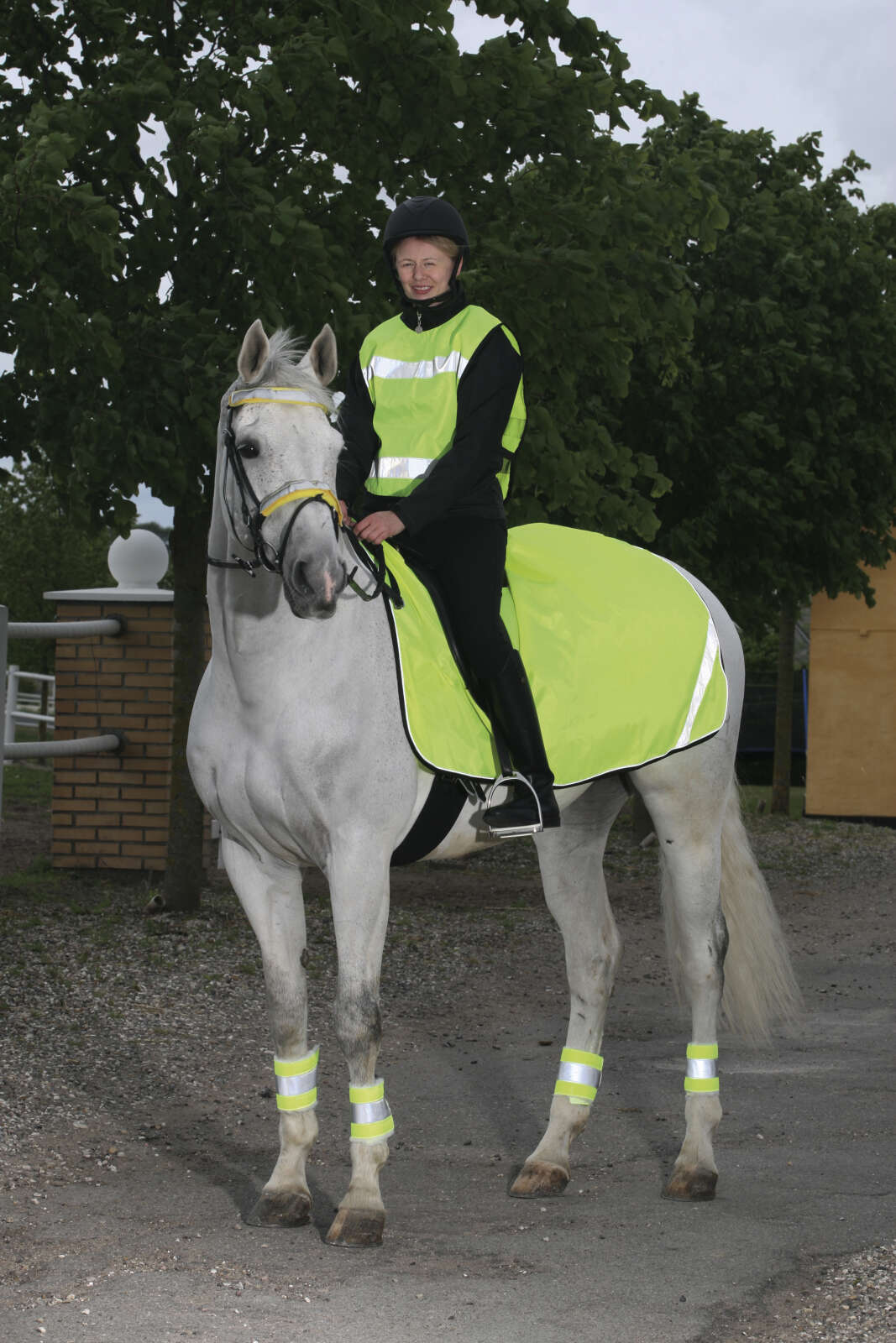 HorseGuard Reflex boots