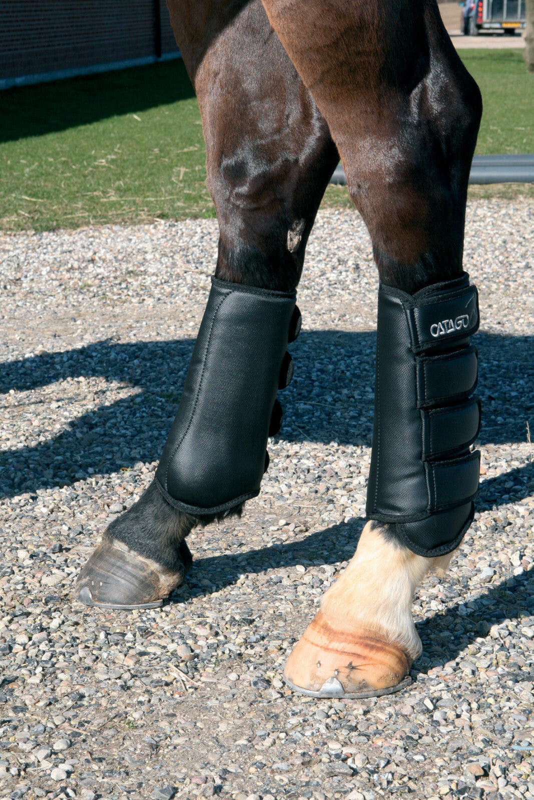 CATAGO Dressage boots