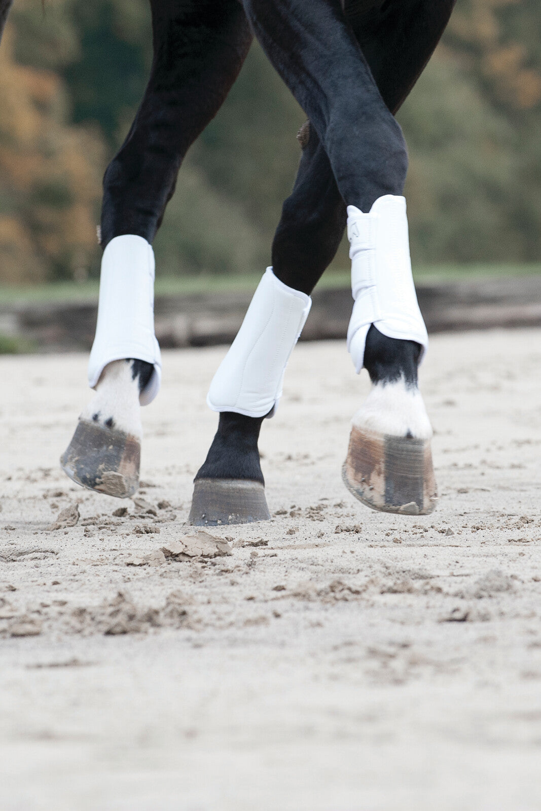 CATAGO Dressage boots