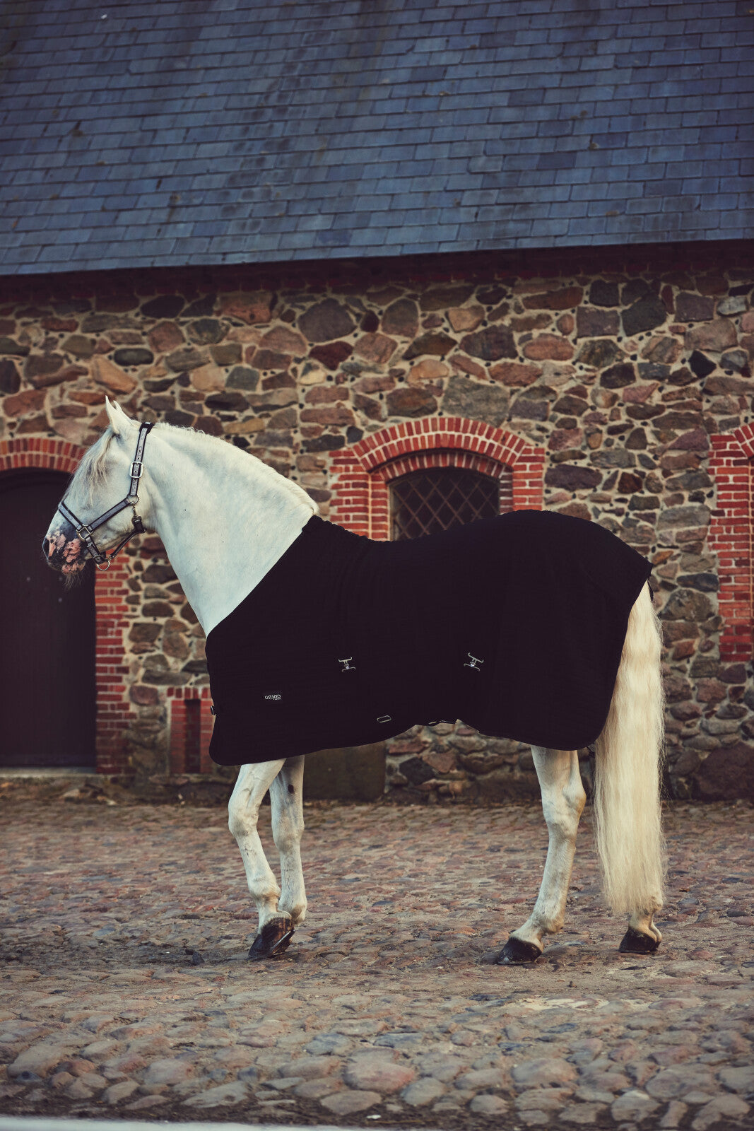 CATAGO Cooler rug