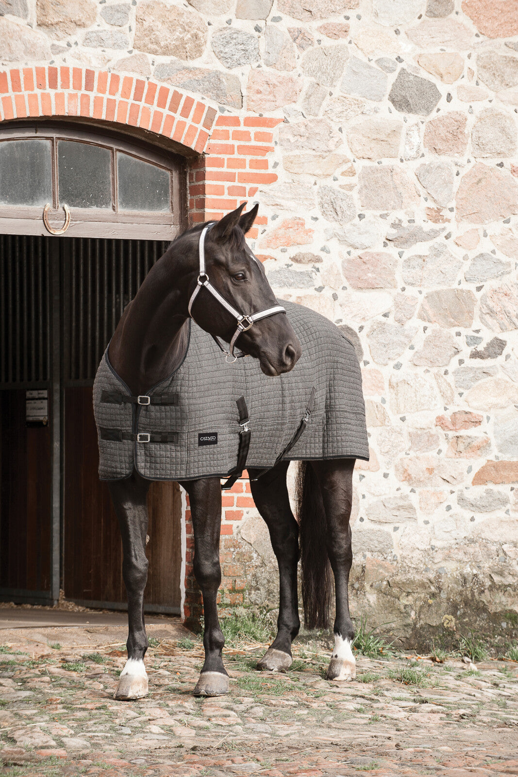 CATAGO Cooler rug