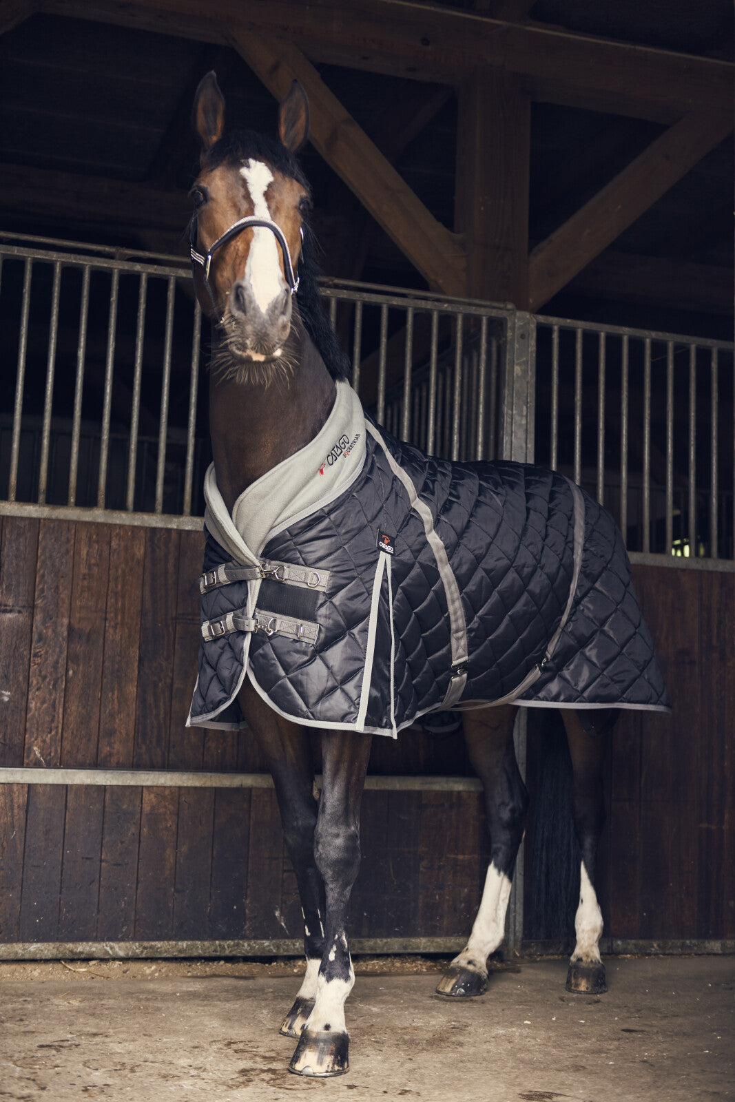 CATAGO Stable rug 100g