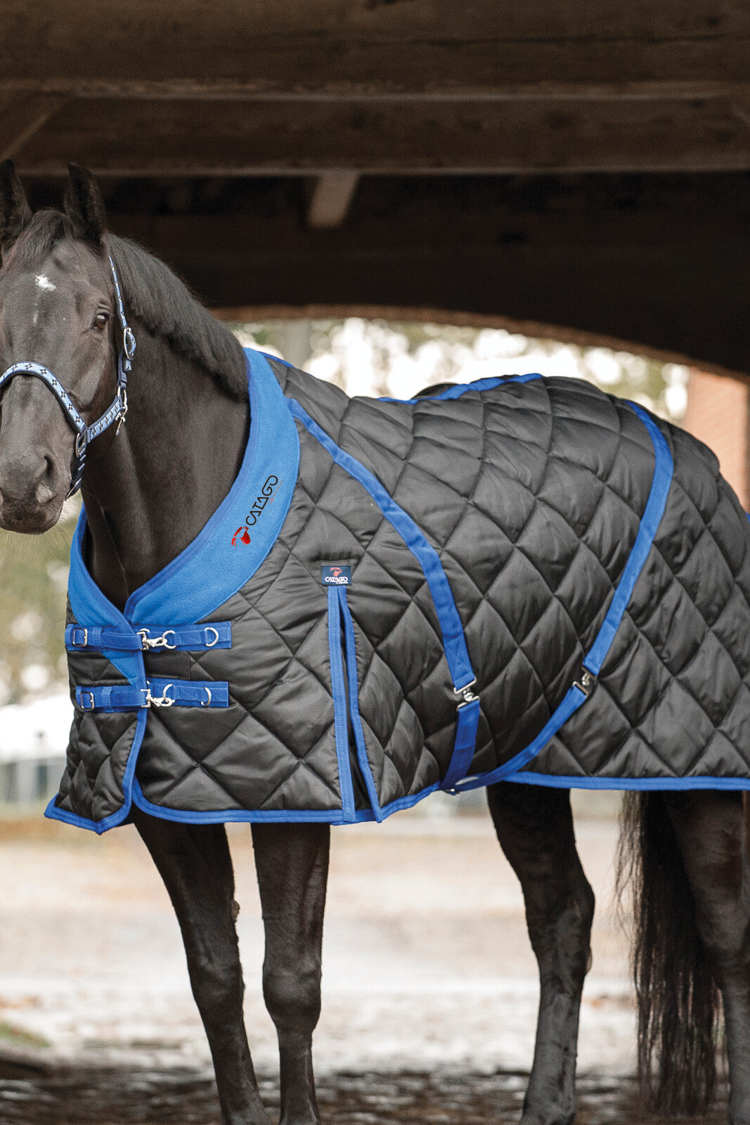 CATAGO Stable rug 300g