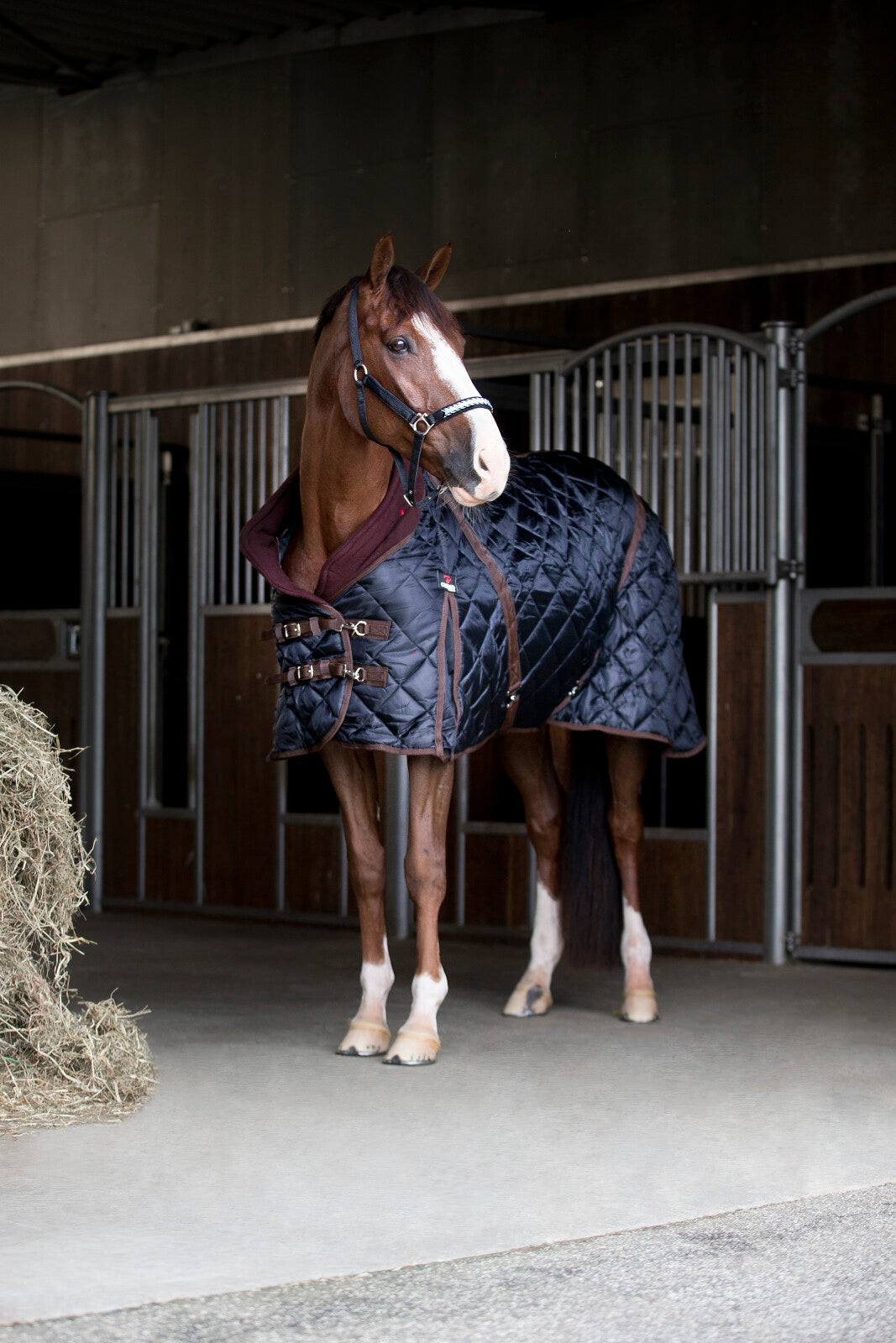 CATAGO Stable rug 500g