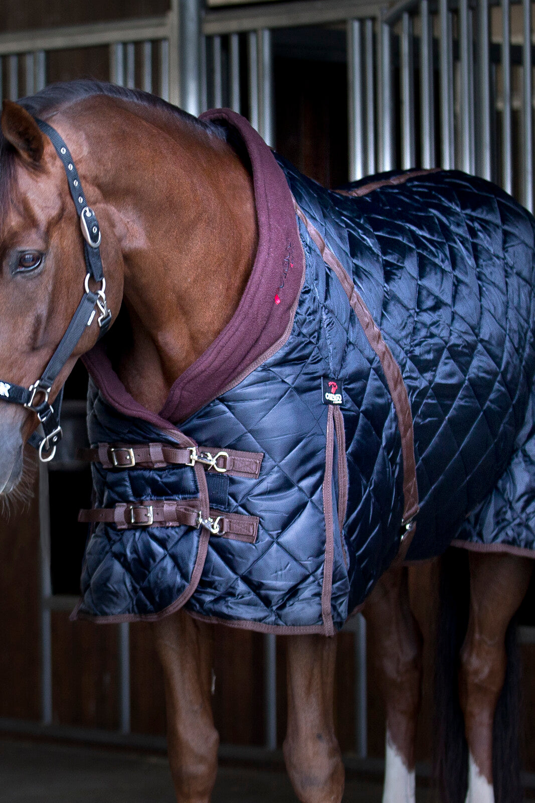 CATAGO Stable rug 500g