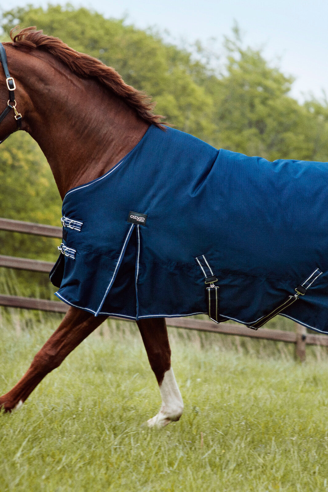 CATAGO Jason 2.0 rug 200g