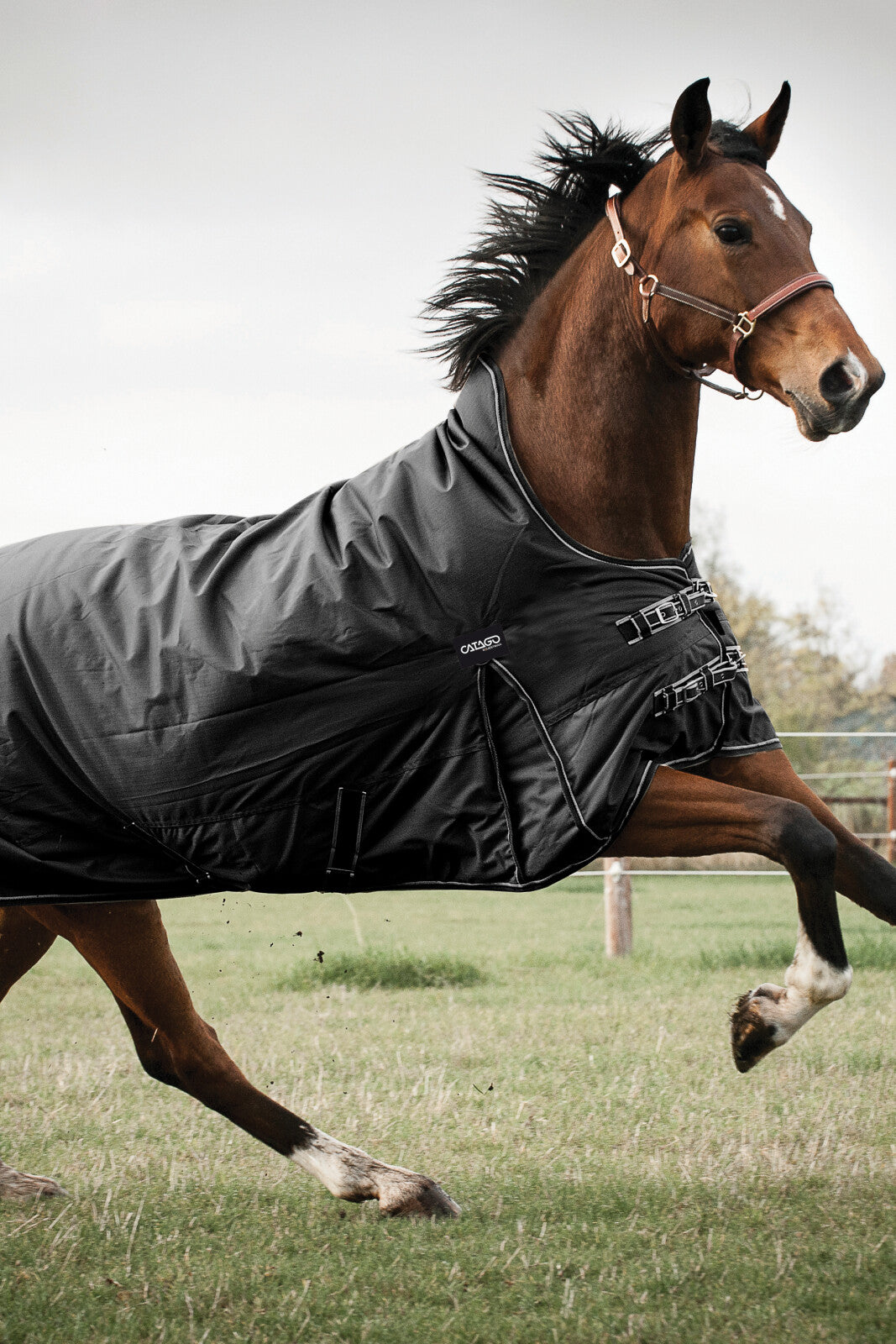 CATAGO Justin 2.0 rug 300g