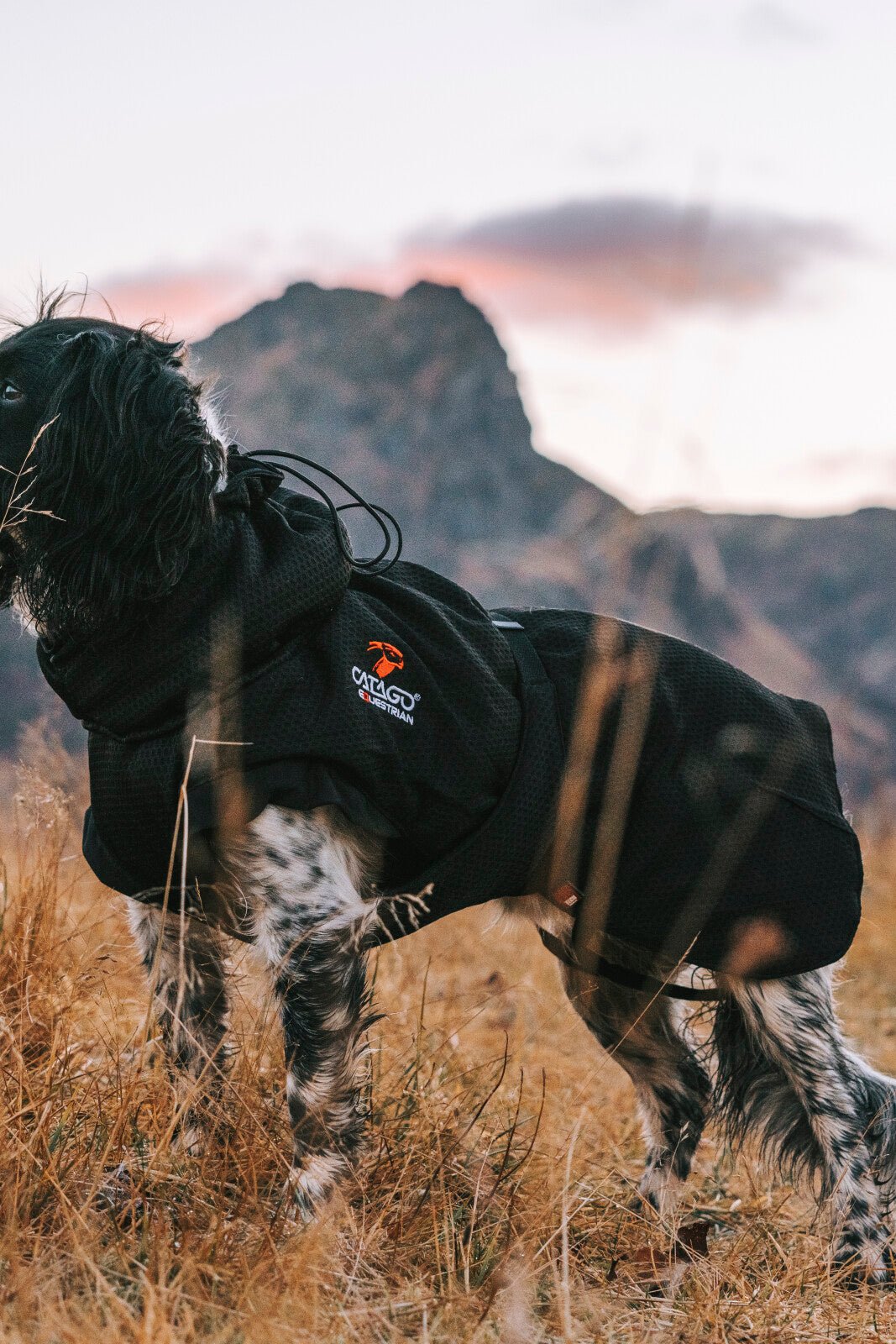 FIR - Tech dog rug - Unamari