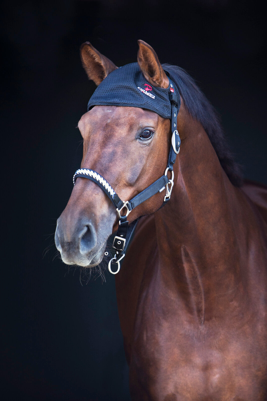 Catago FIR-Tech hood