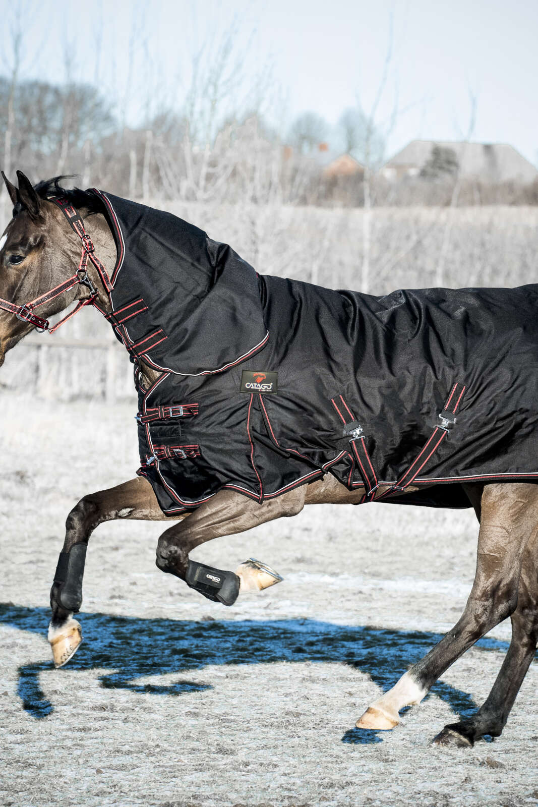 CATAGO Endurance dækken 300g