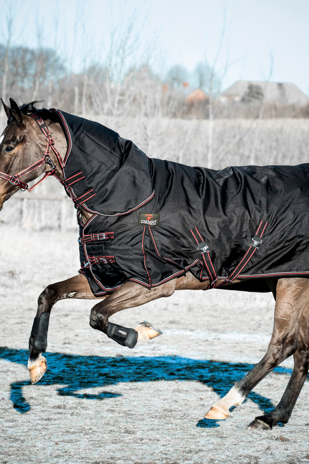 CATAGO Endurance halstäcke 0 g