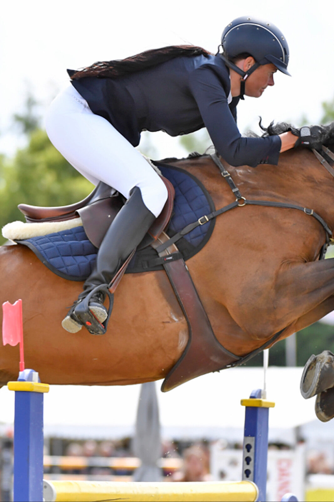 CATAGO Tendon boots