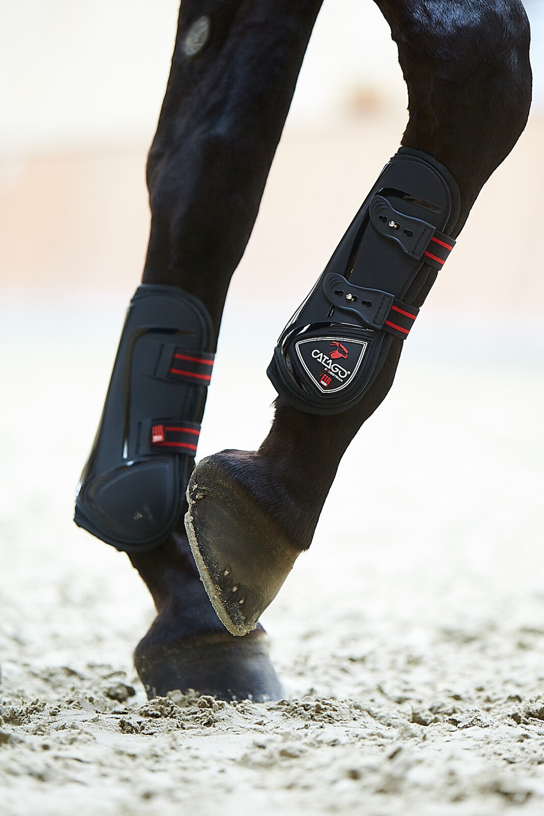 CATAGO Tendon boots