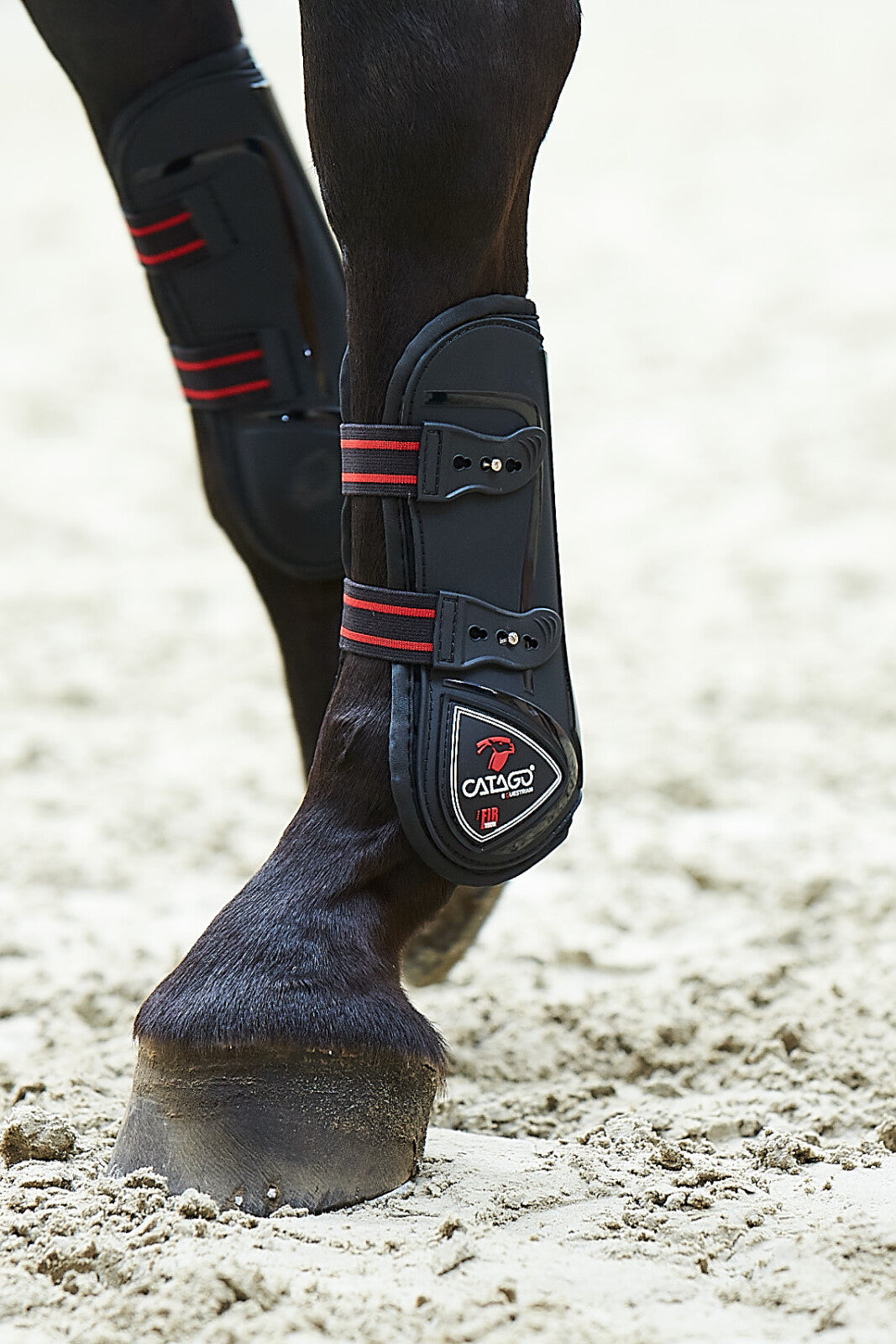 CATAGO Tendon boots