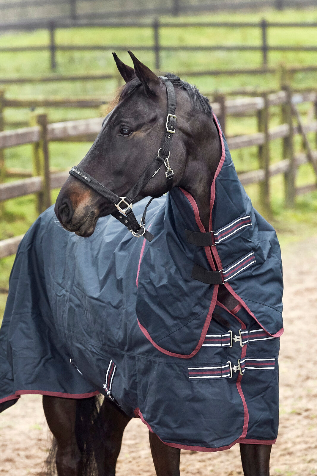 HorseGuard Turnout täcke 600D med avtagbar nacke 200g