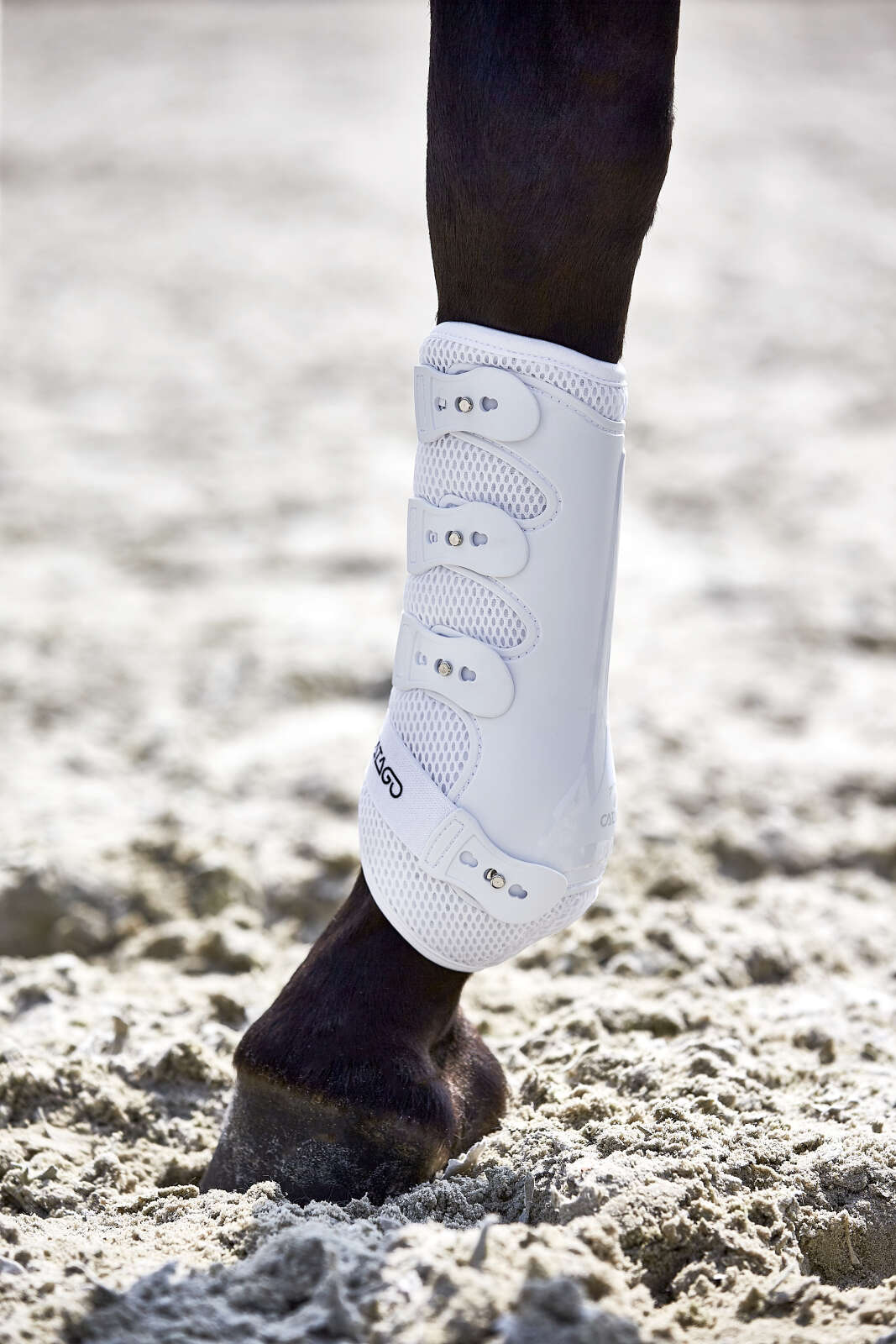 Catago FIR-Tech dressurbelegg