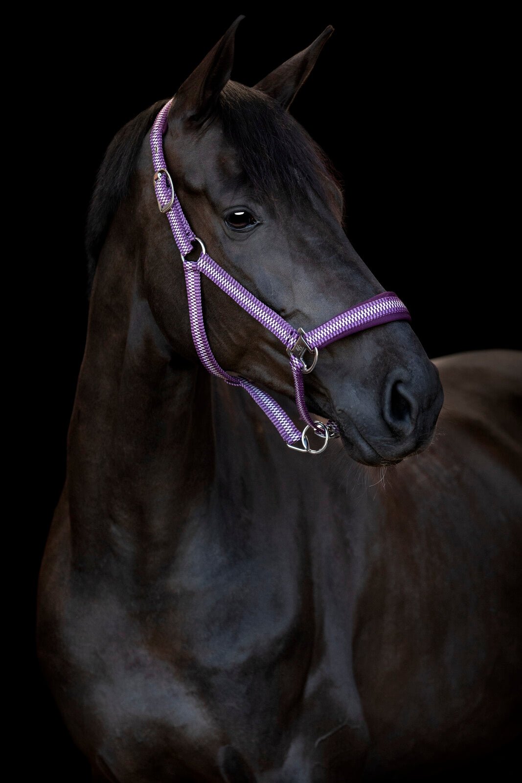 HorseGuard Cole halter - Unamari