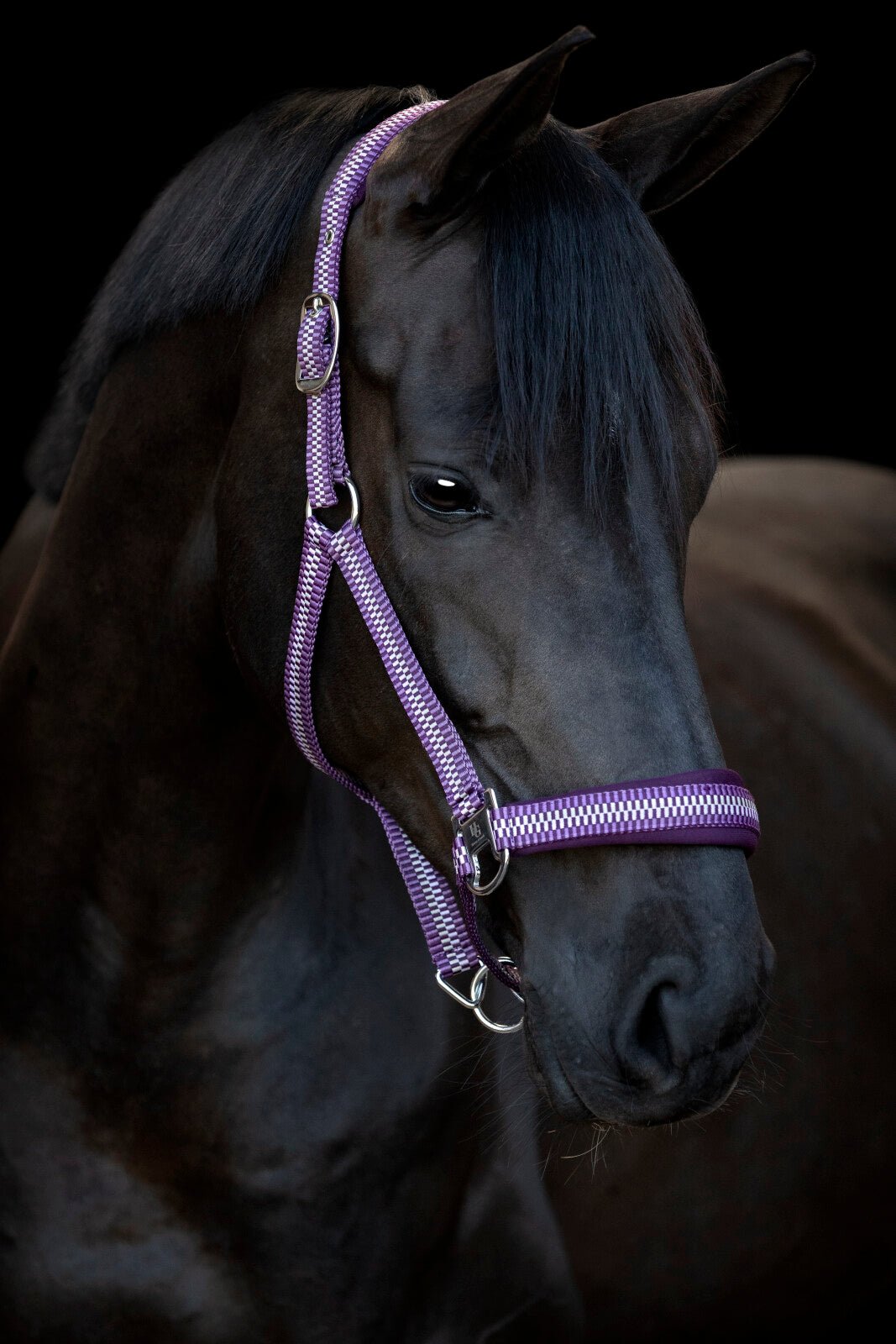 HorseGuard Cole halter - Unamari
