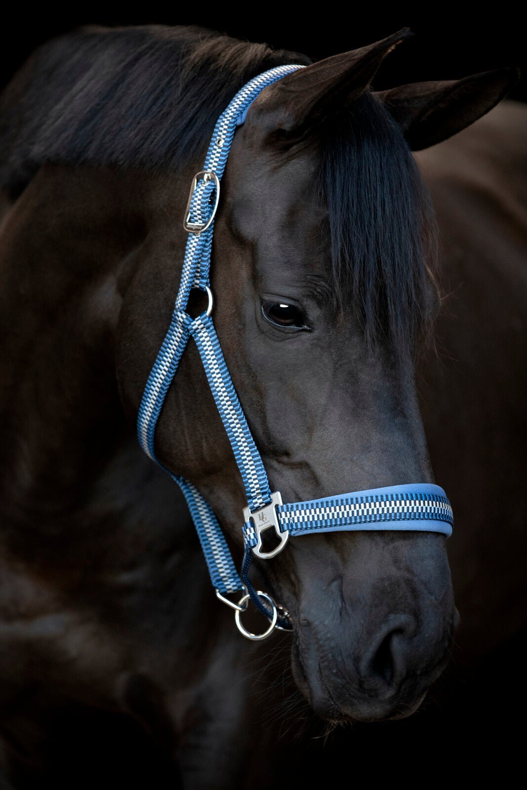 HorseGuard Cole halter - Unamari
