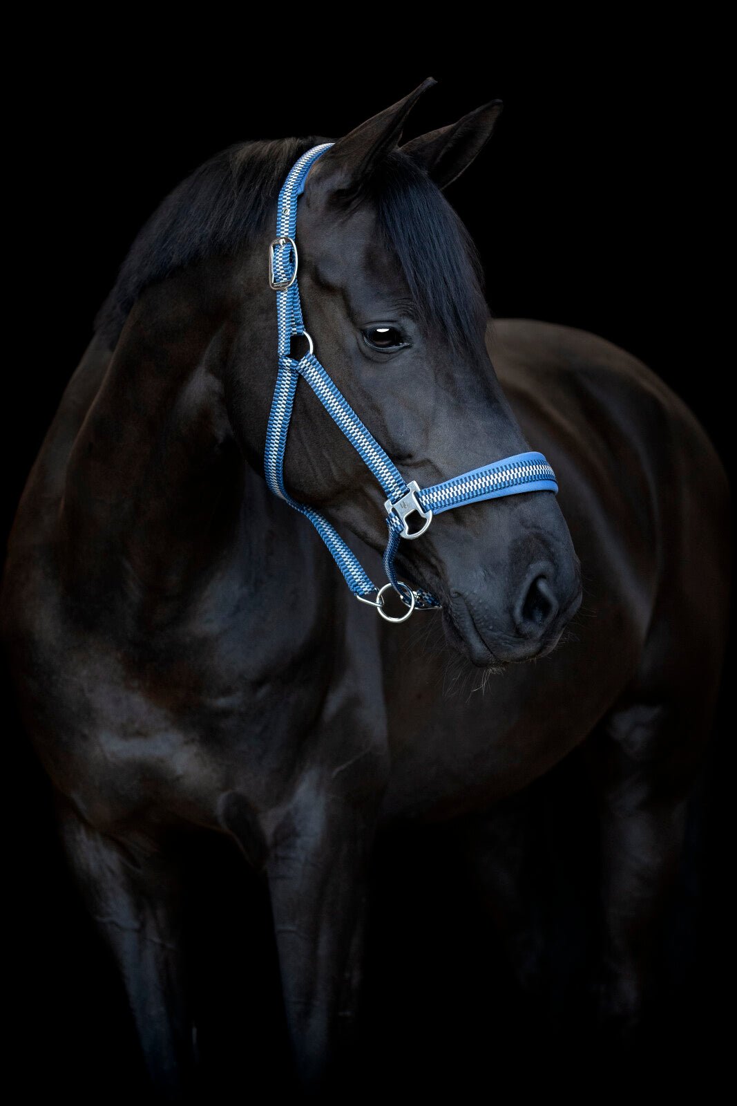 HorseGuard Cole halter - Unamari