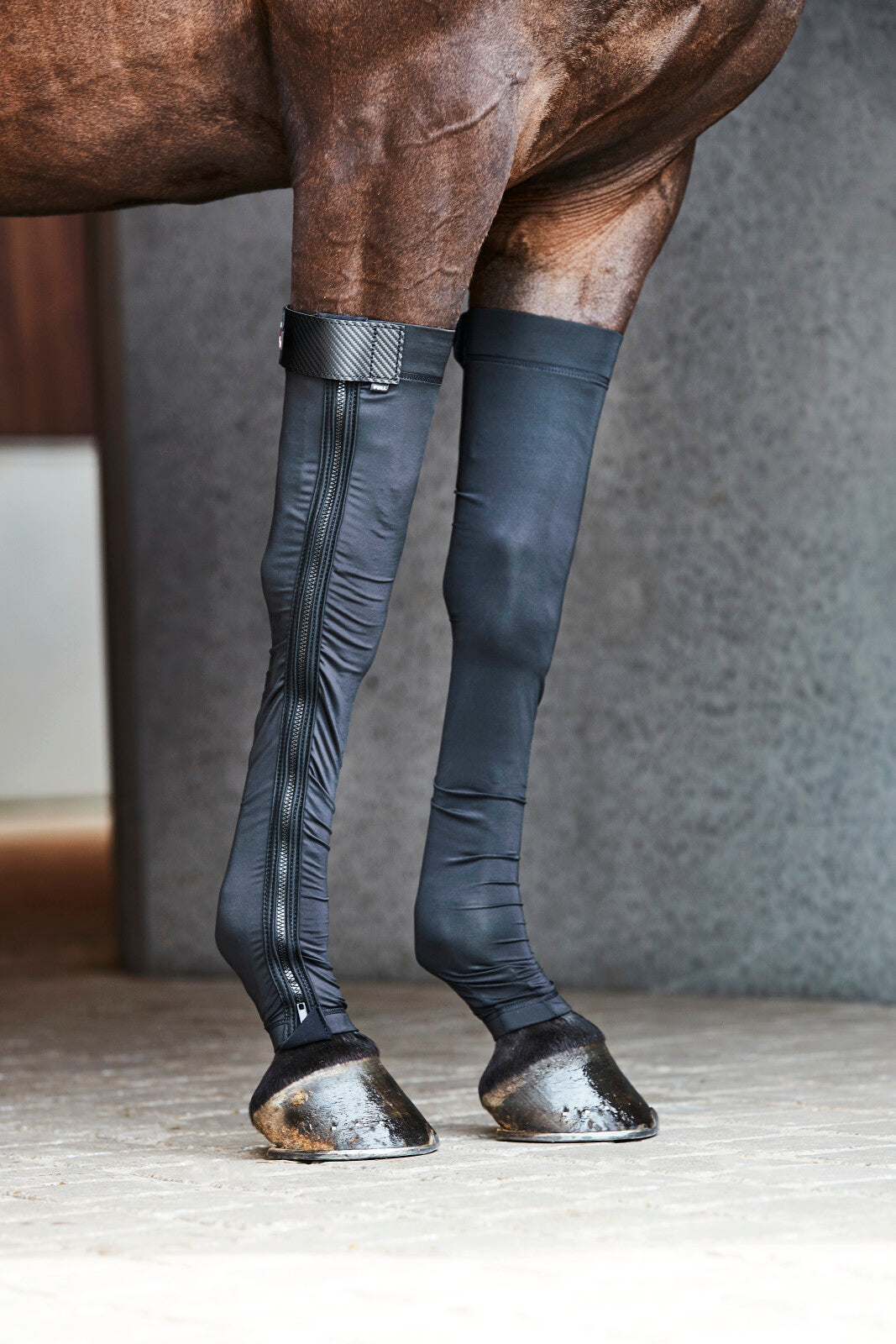 CATAGO FIR-Tech Stocking front legs