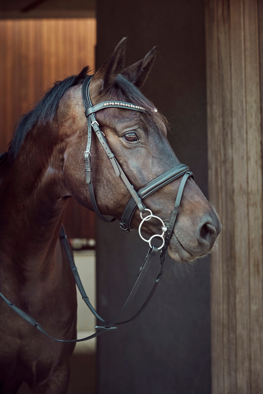 HorseGuard Universal Curve tredelt bid