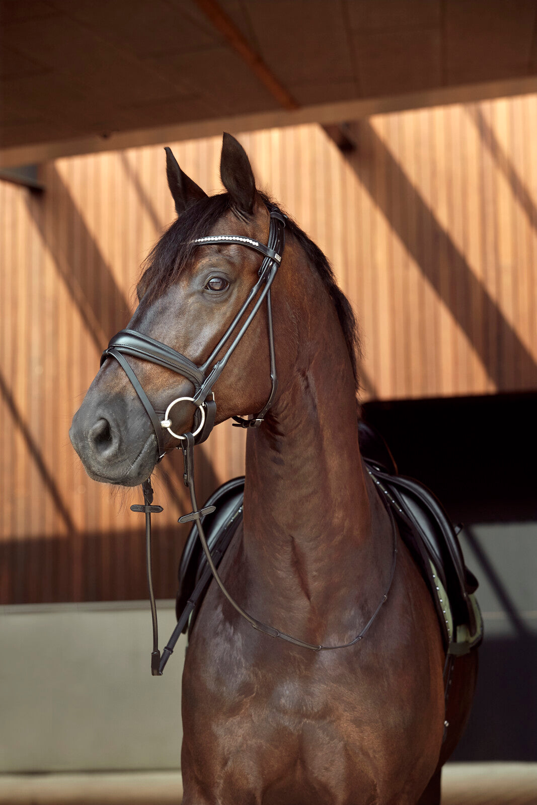 HorseGuard Ava roundsewn bridle PB&flash w/o reins