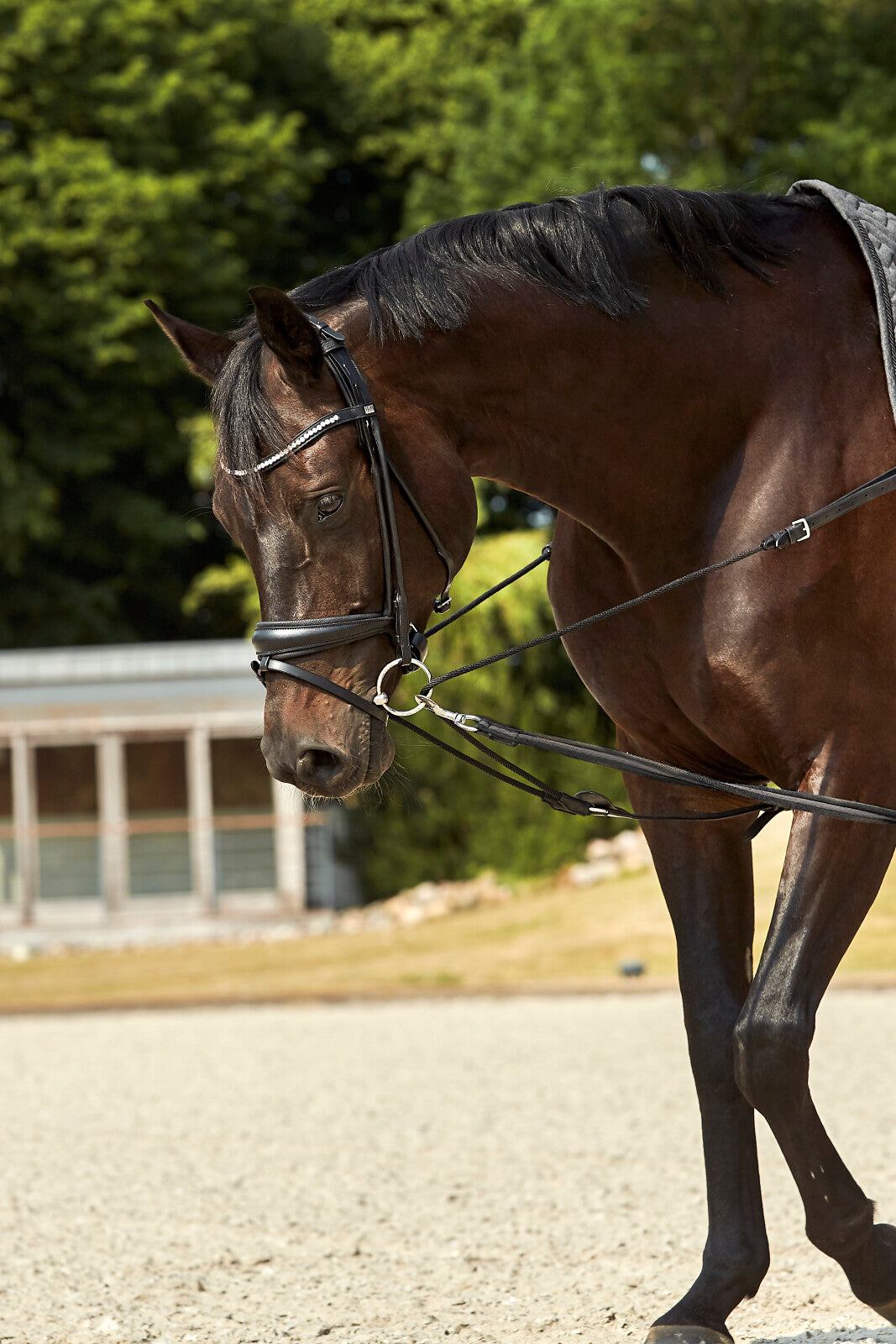 HorseGuard Ava roundsewn bridle PB&flash w/o reins