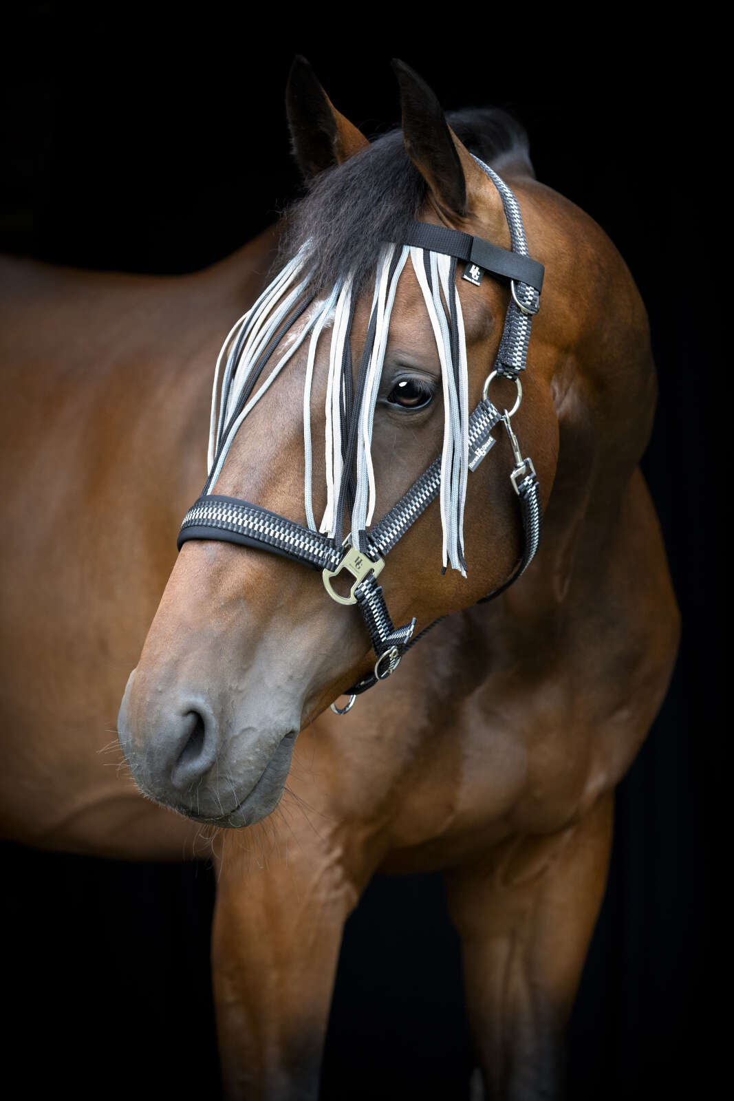 HorseGuard Cole fringe