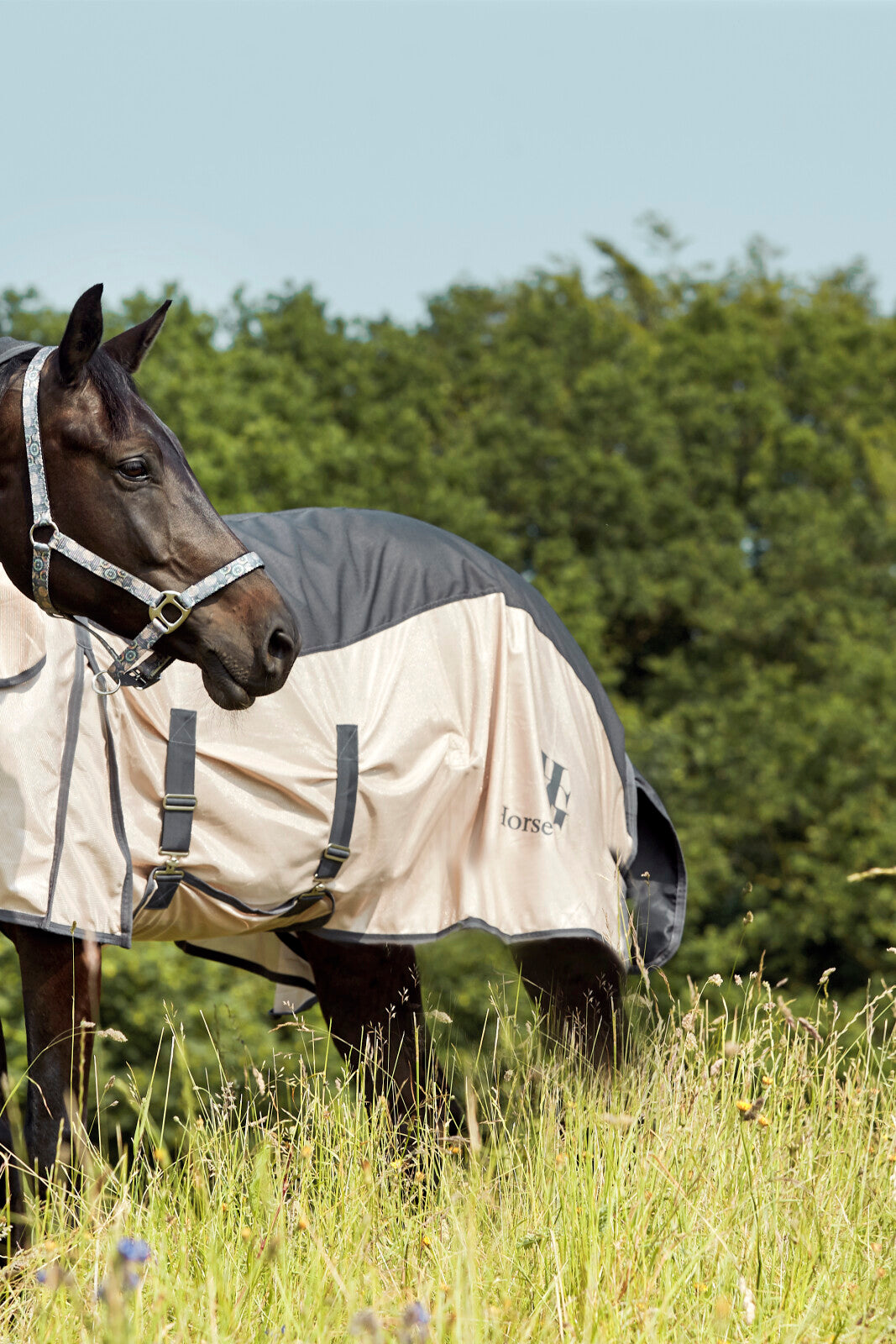 HorseGuard Honour rug mesh w. waterproof