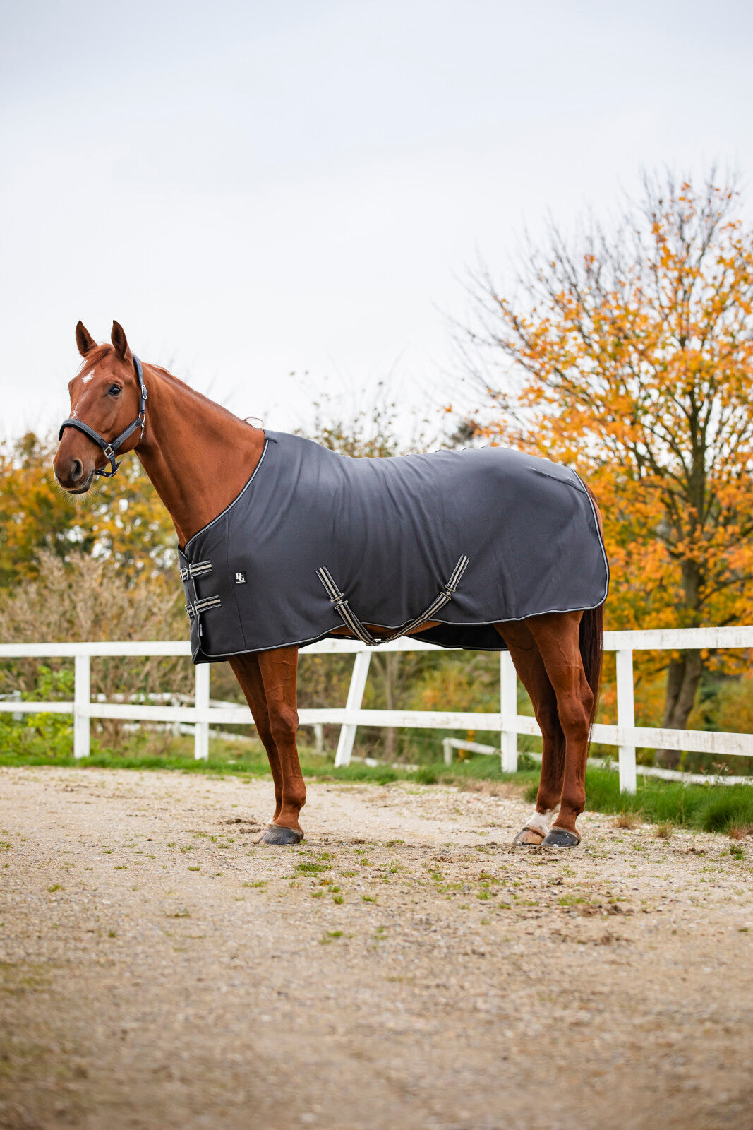 HorseGuard Jersey Cooler täcke