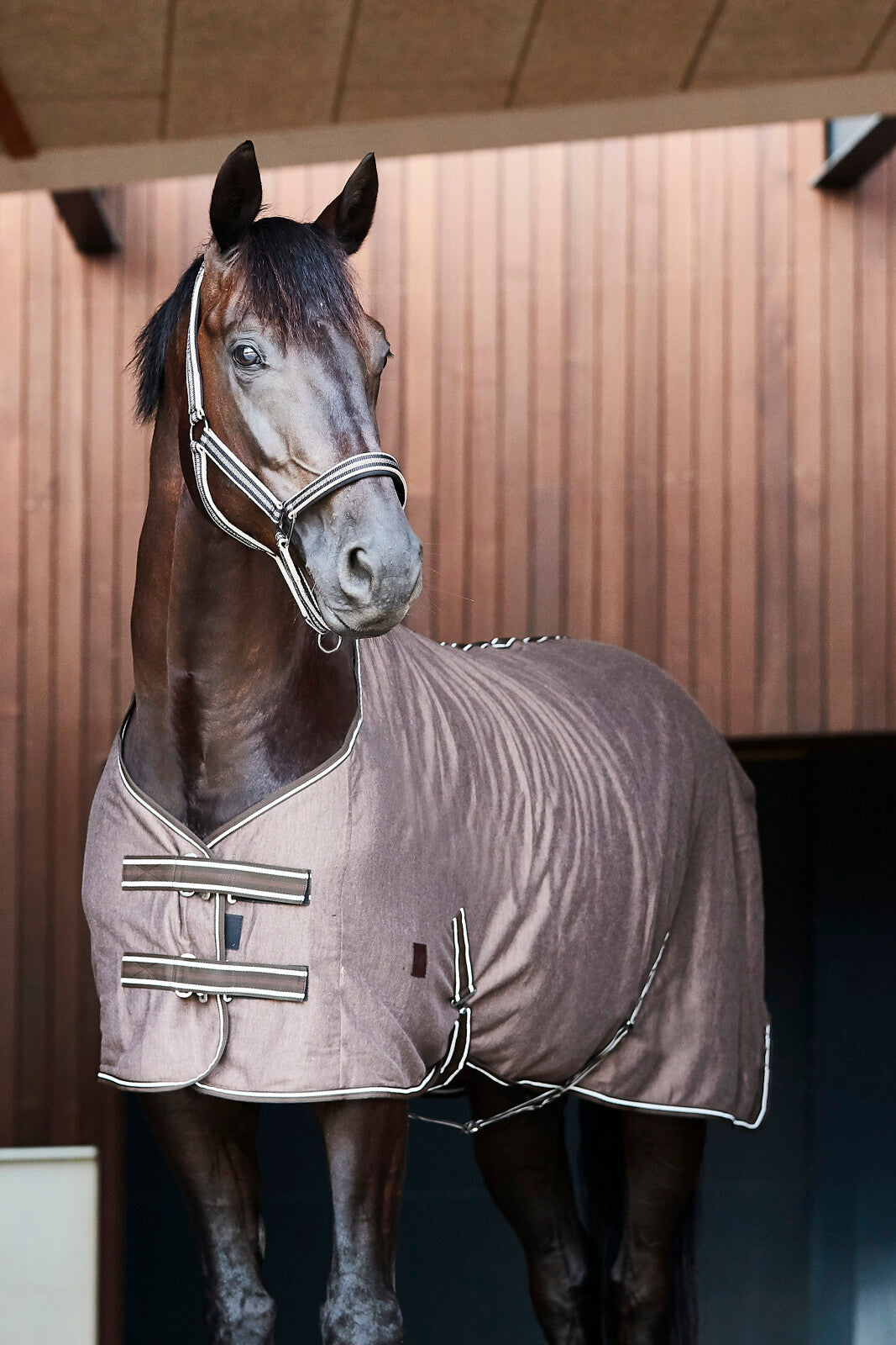 HorseGuard Jersey Cooler Rug