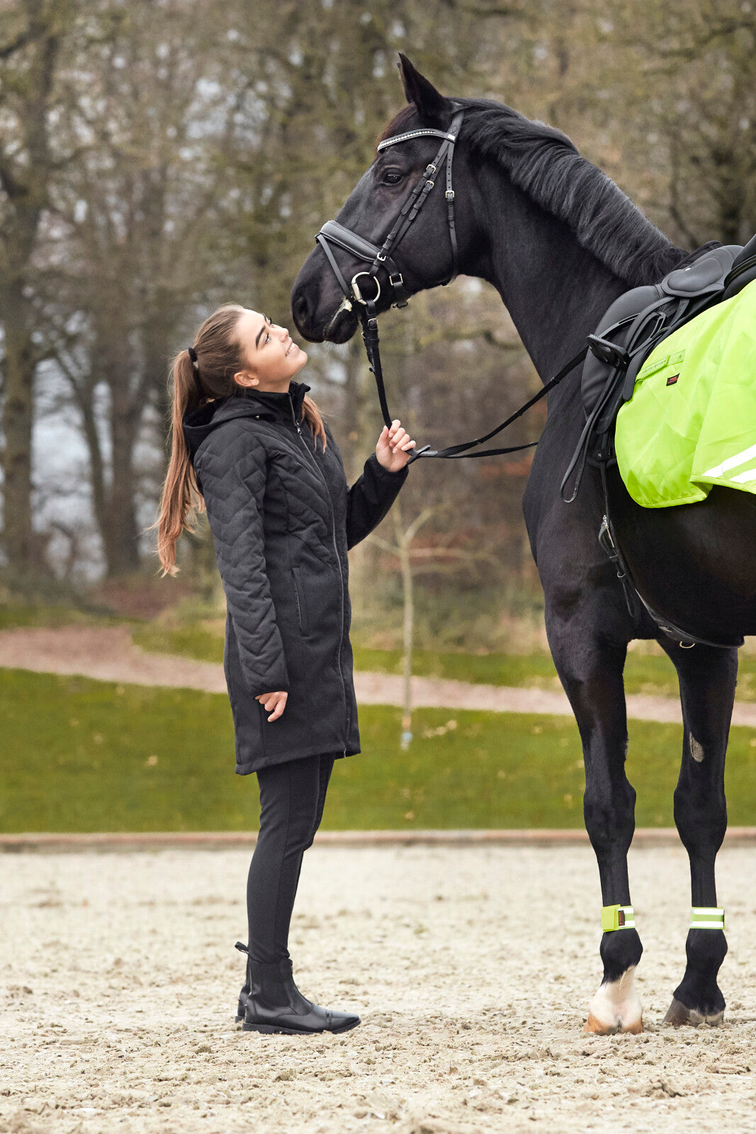 HorseGuard Judy reflective hind excercise sheet