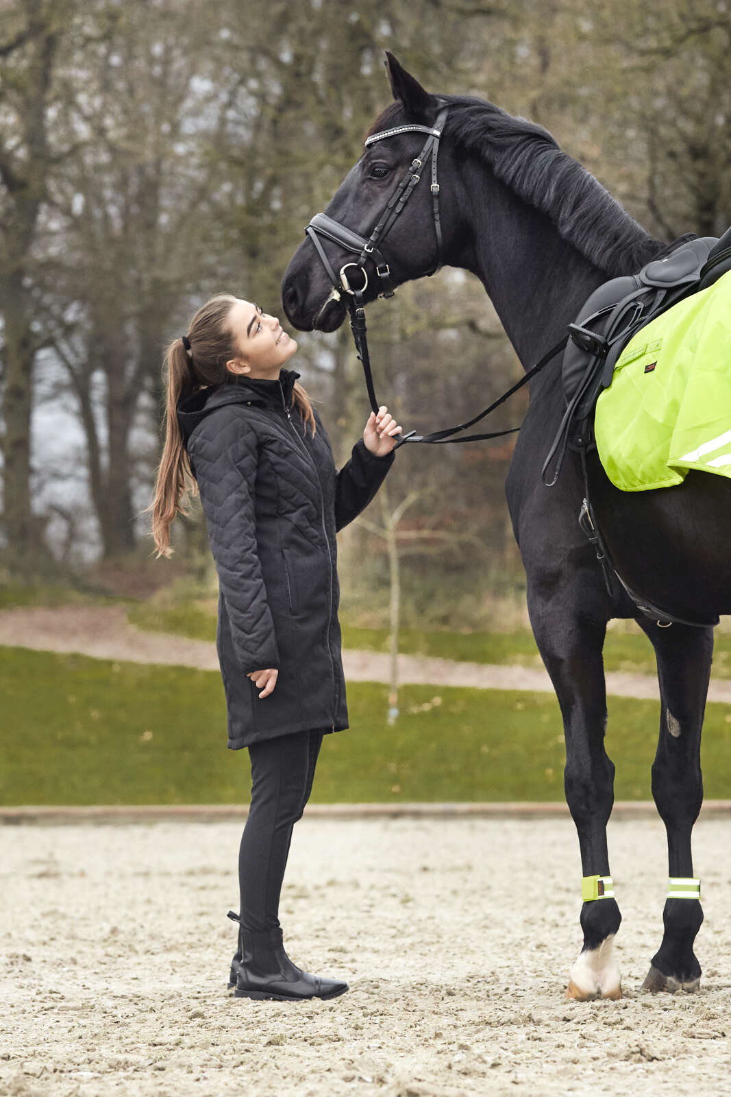 HorseGuard Judy reflective hind excercise sheet