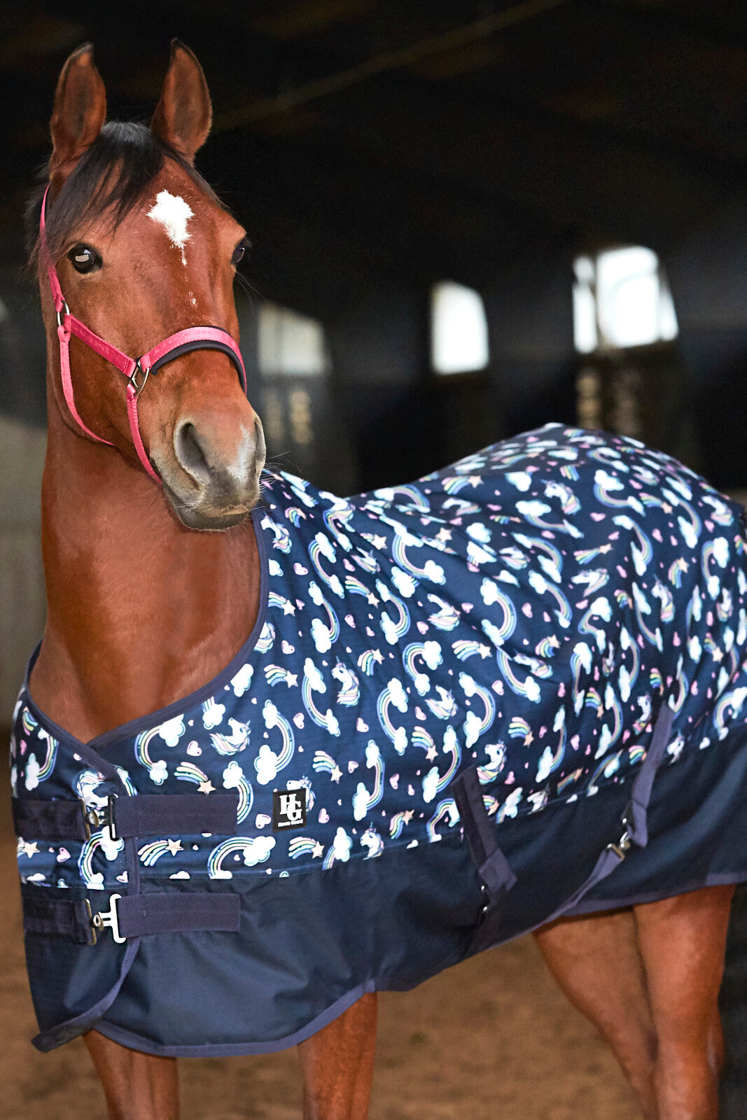 HG Josh Pony Turnoutdecke 600D 200g