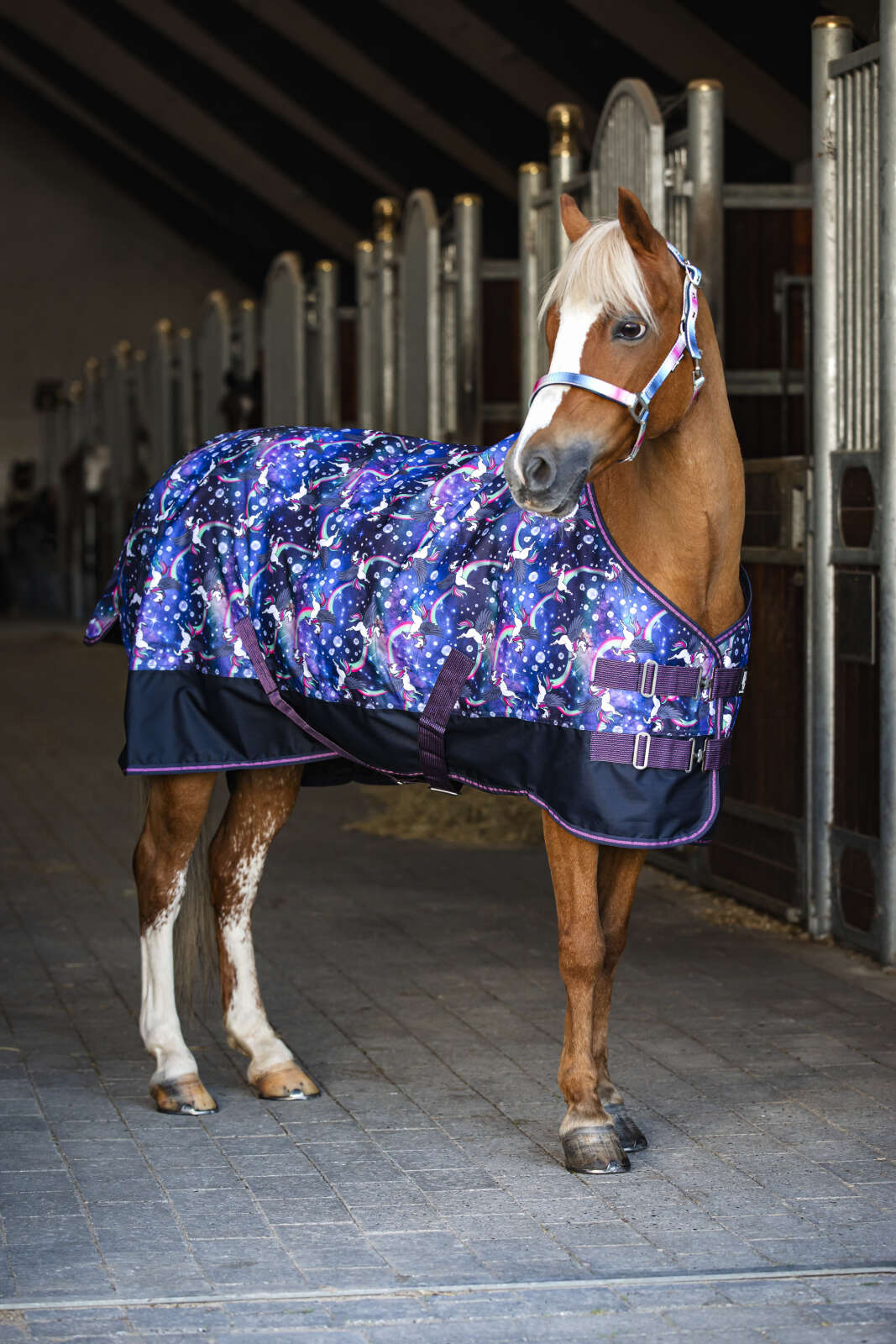 Horse Guard Josh Turnout rug 600D, 100g