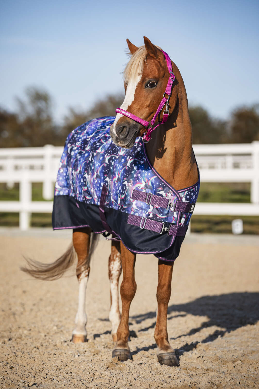 Horse Guard Josh Turnout rug 600D, 100g