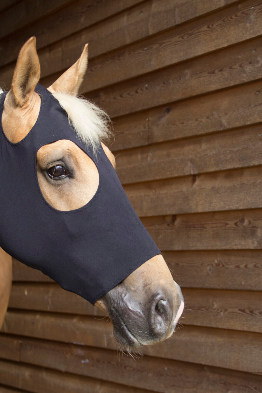 CATAGO FIR-Tech mask