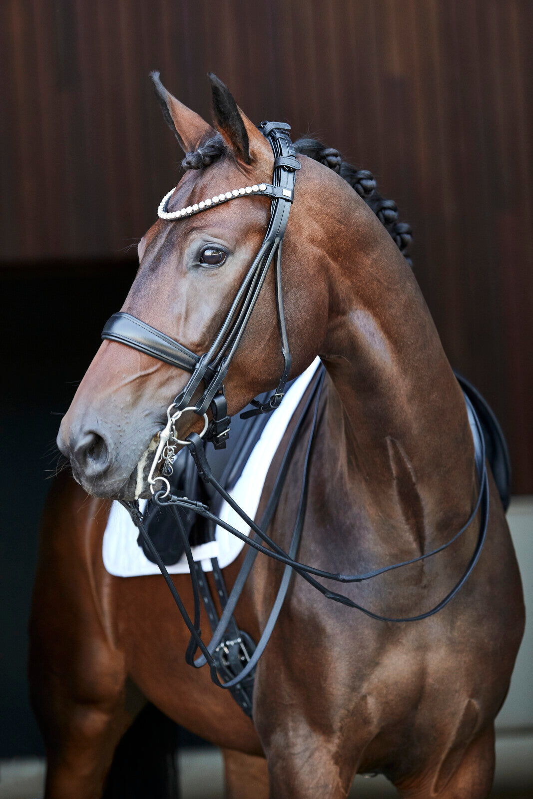 HorseGuard Kava rundsyet kandar med tøjler