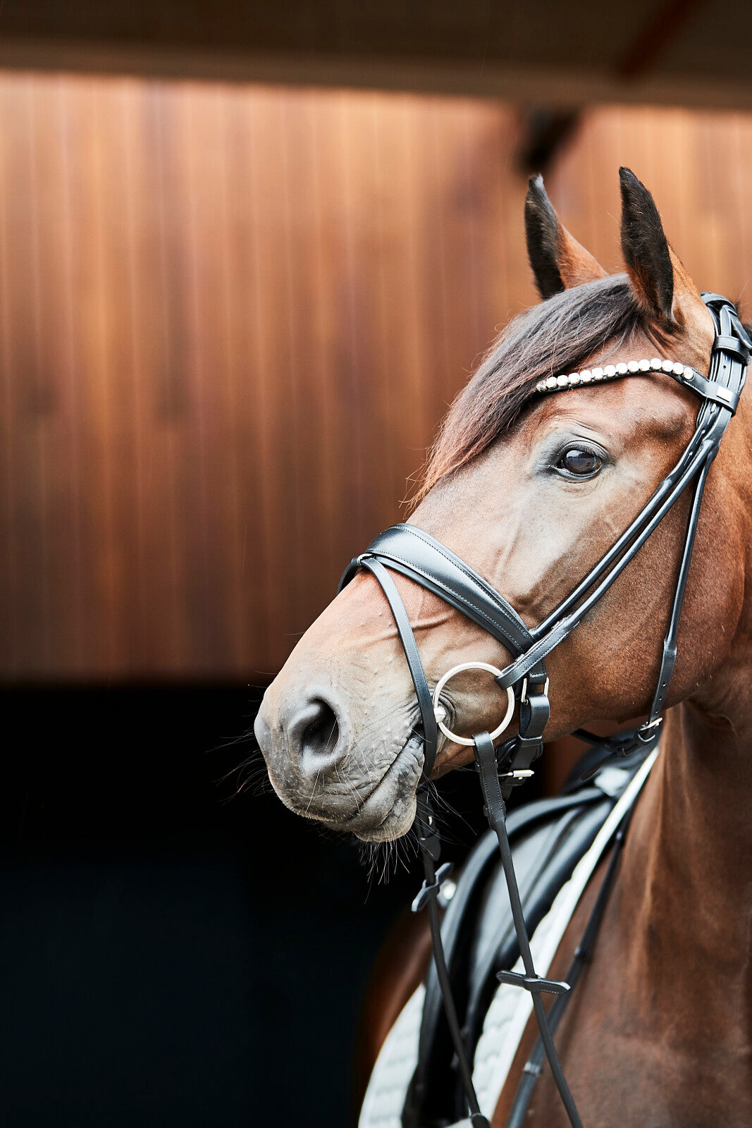 HorseGuard Kava roundsewn bridle without reins