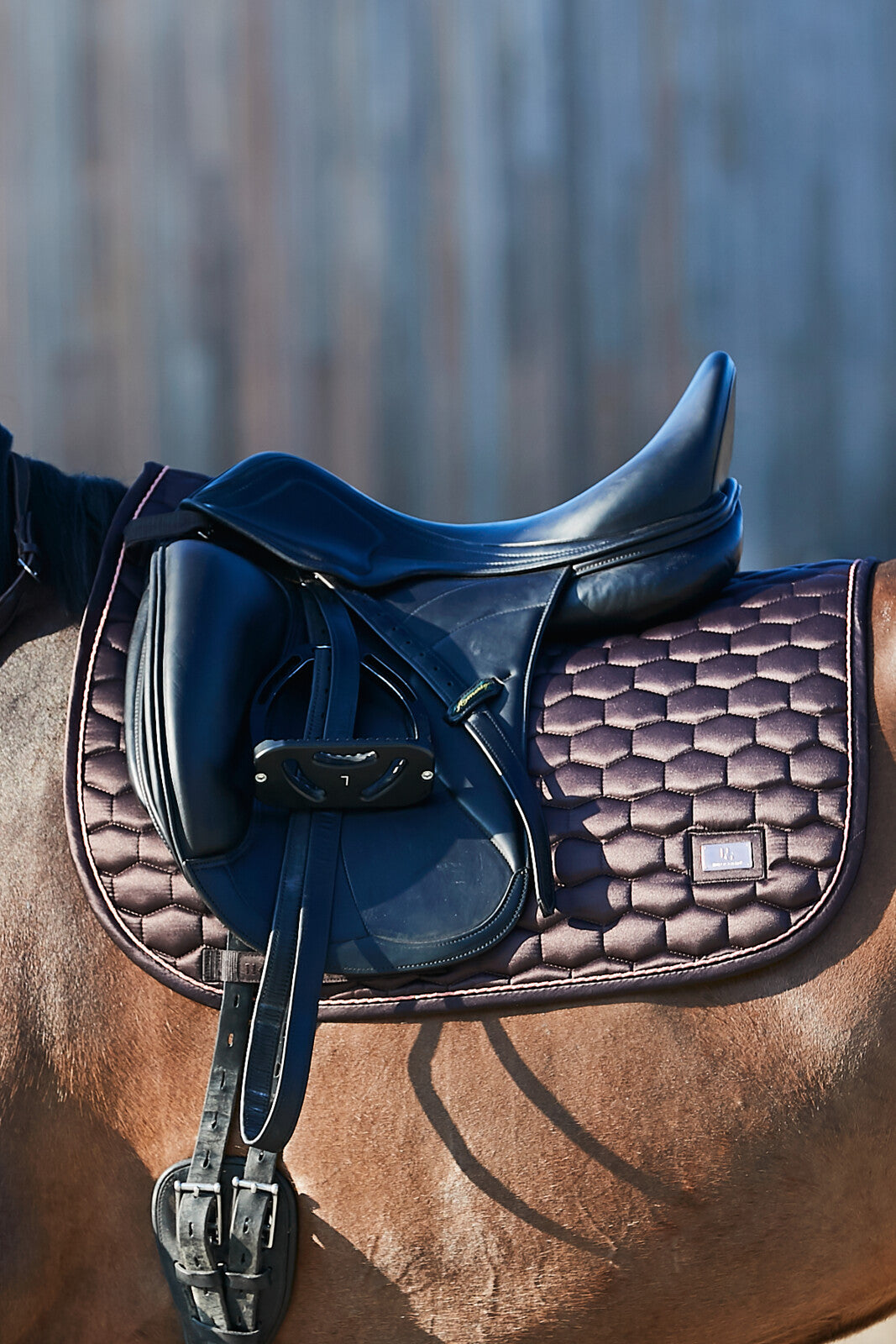 Horse Guard Kora schabrak