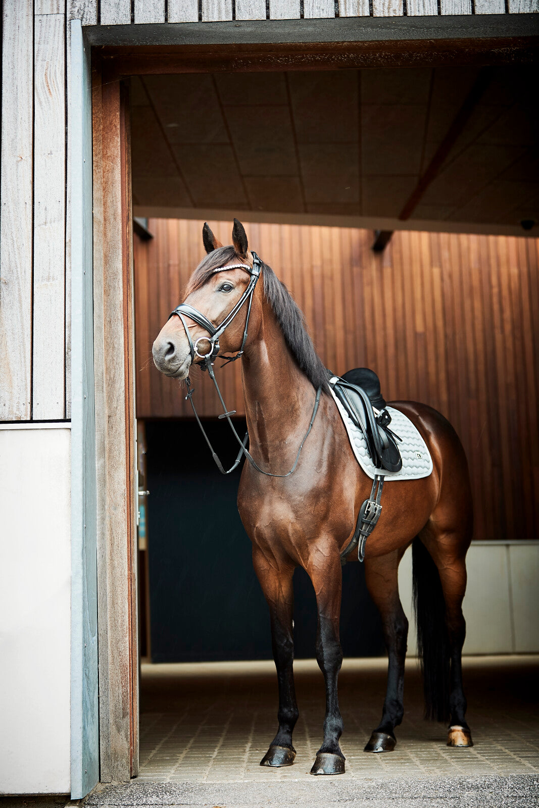 HorseGuard Kora saddle pad