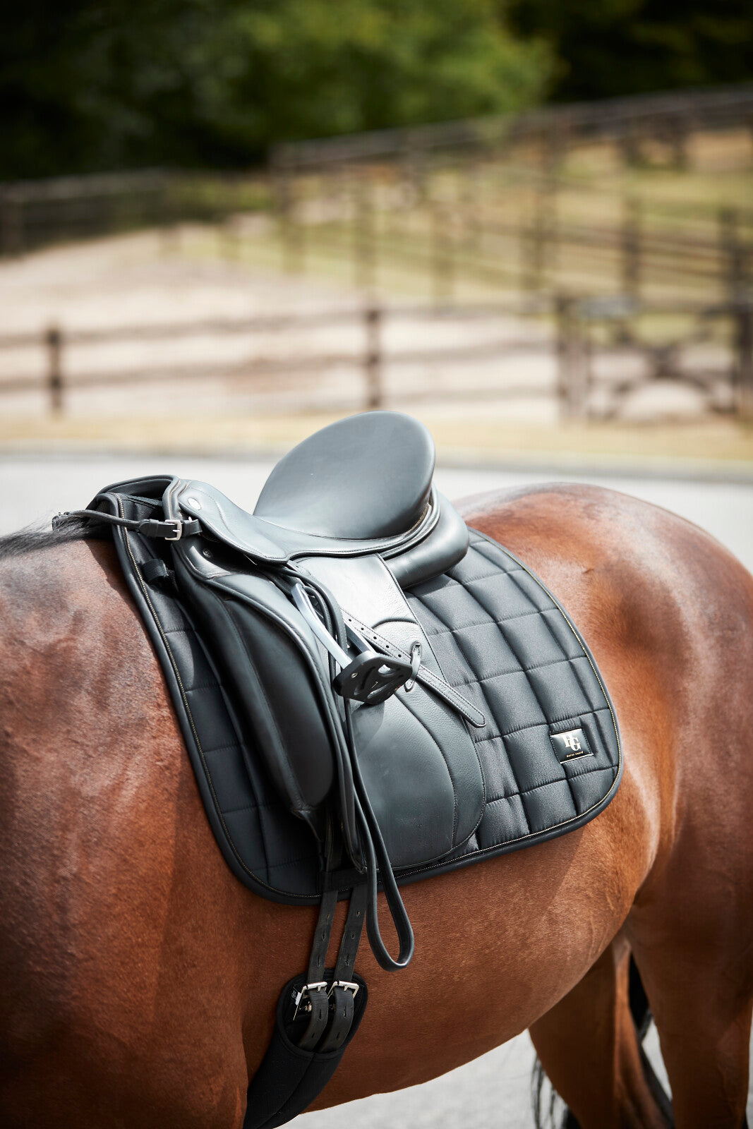 HorseGuard Kahlo saddle pad