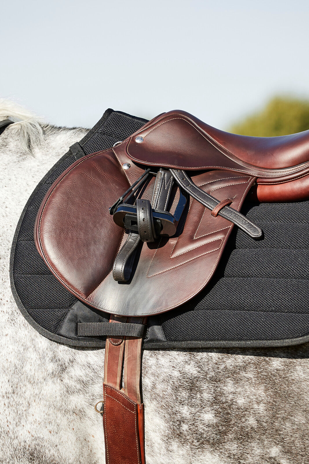 HorseGuard Kandy mesh schabrack